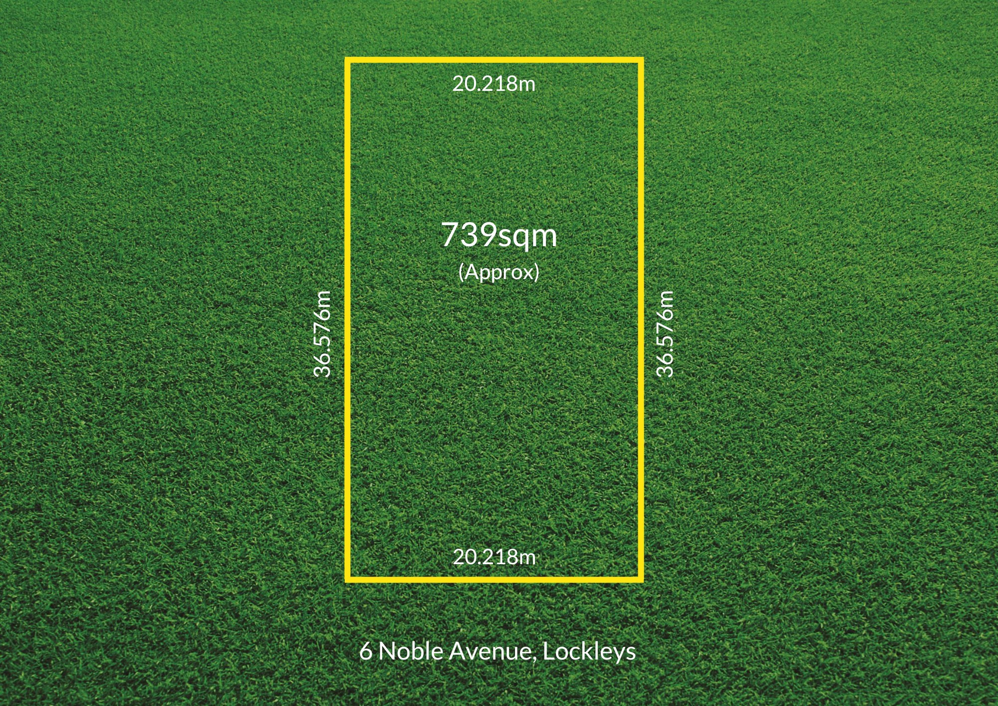 6 Noble Avenue, Lockleys, SA 5032