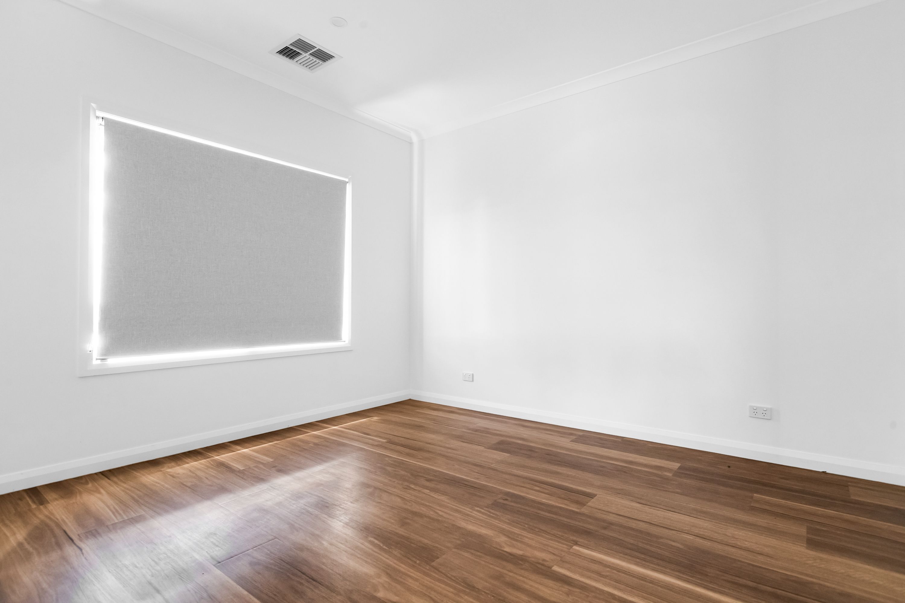 115 Chaffey Street — photo 6 of 18