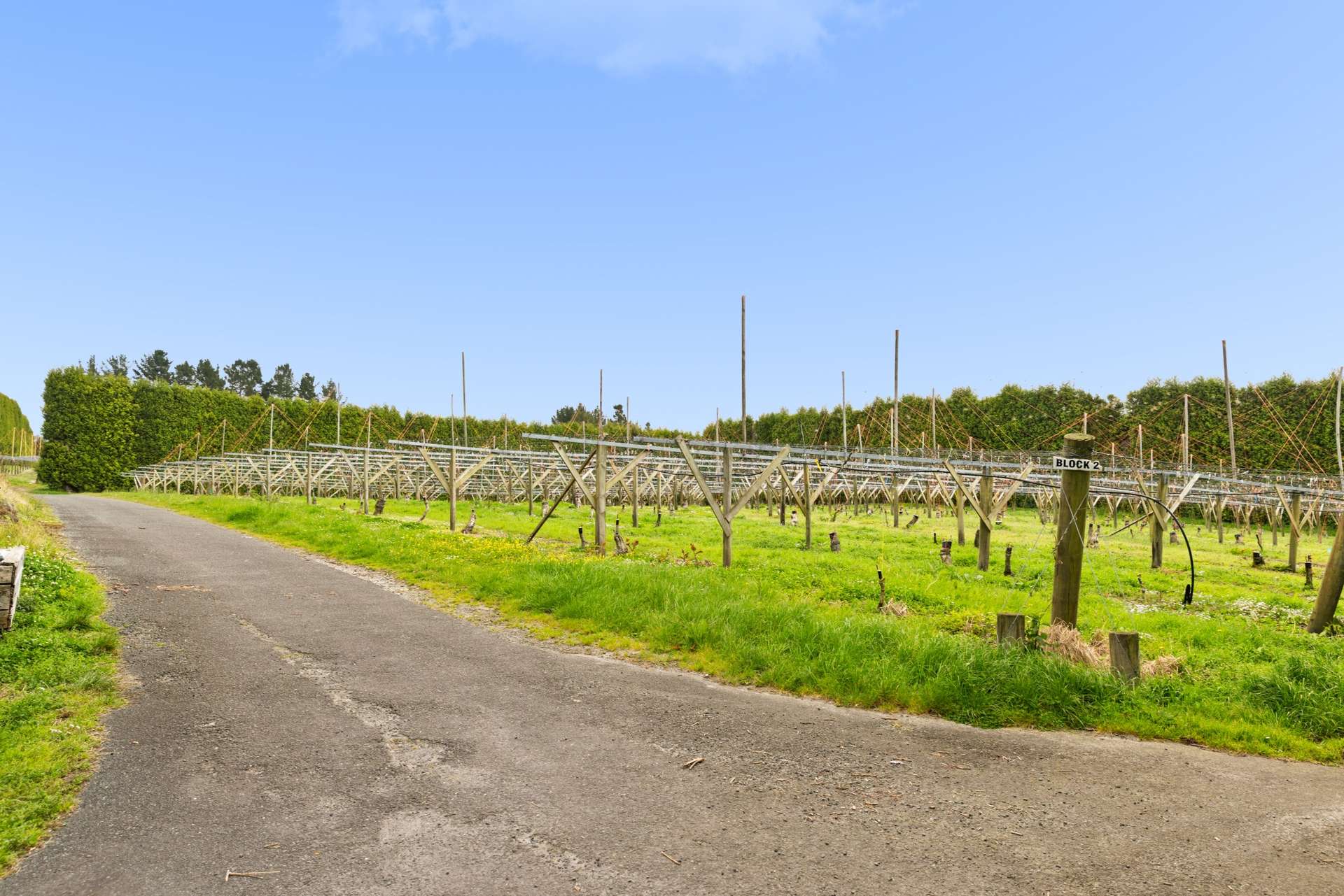 Lot 4/1010 Te Matai Road photo 4