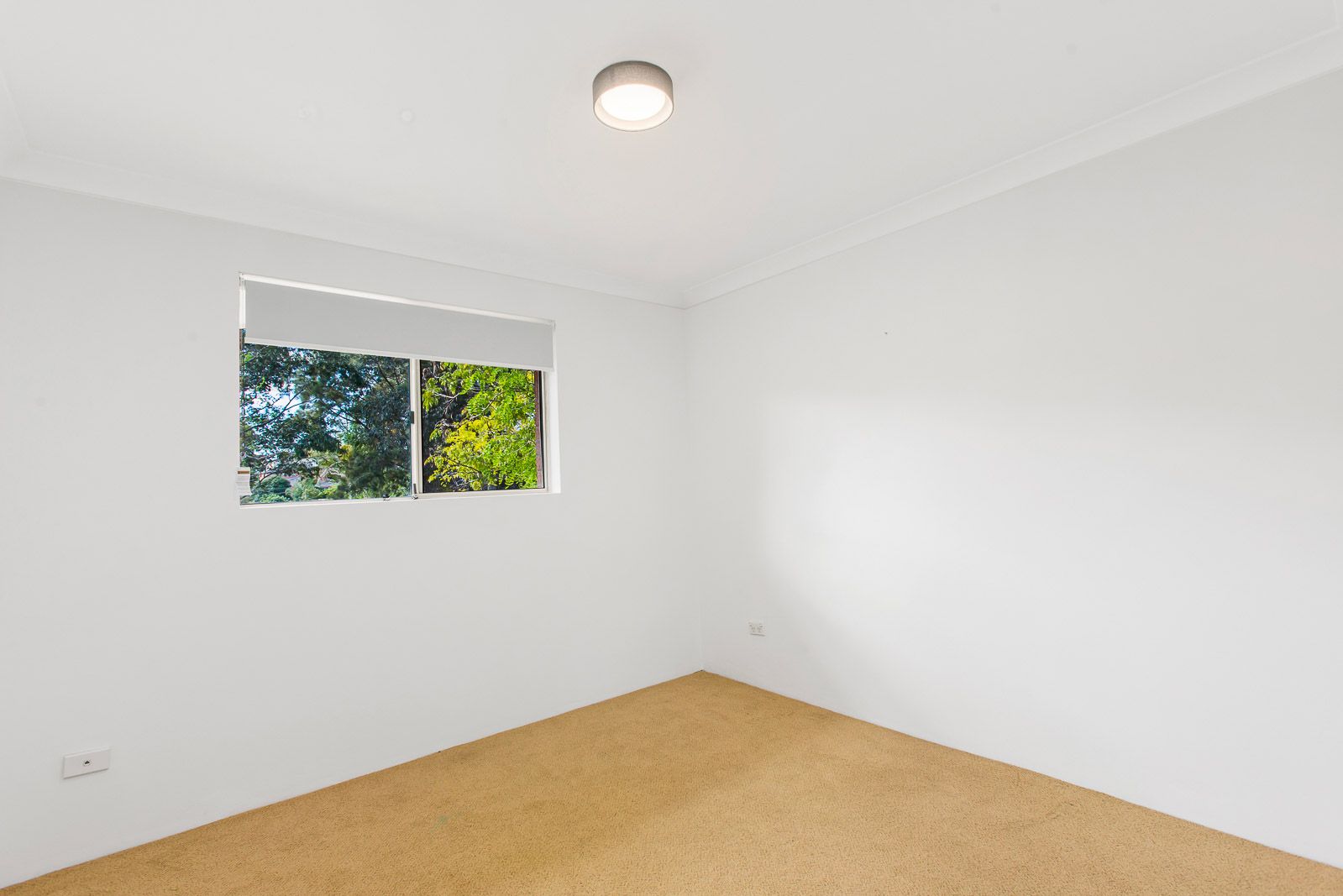 19/59A Castle Street — photo 5 of 6