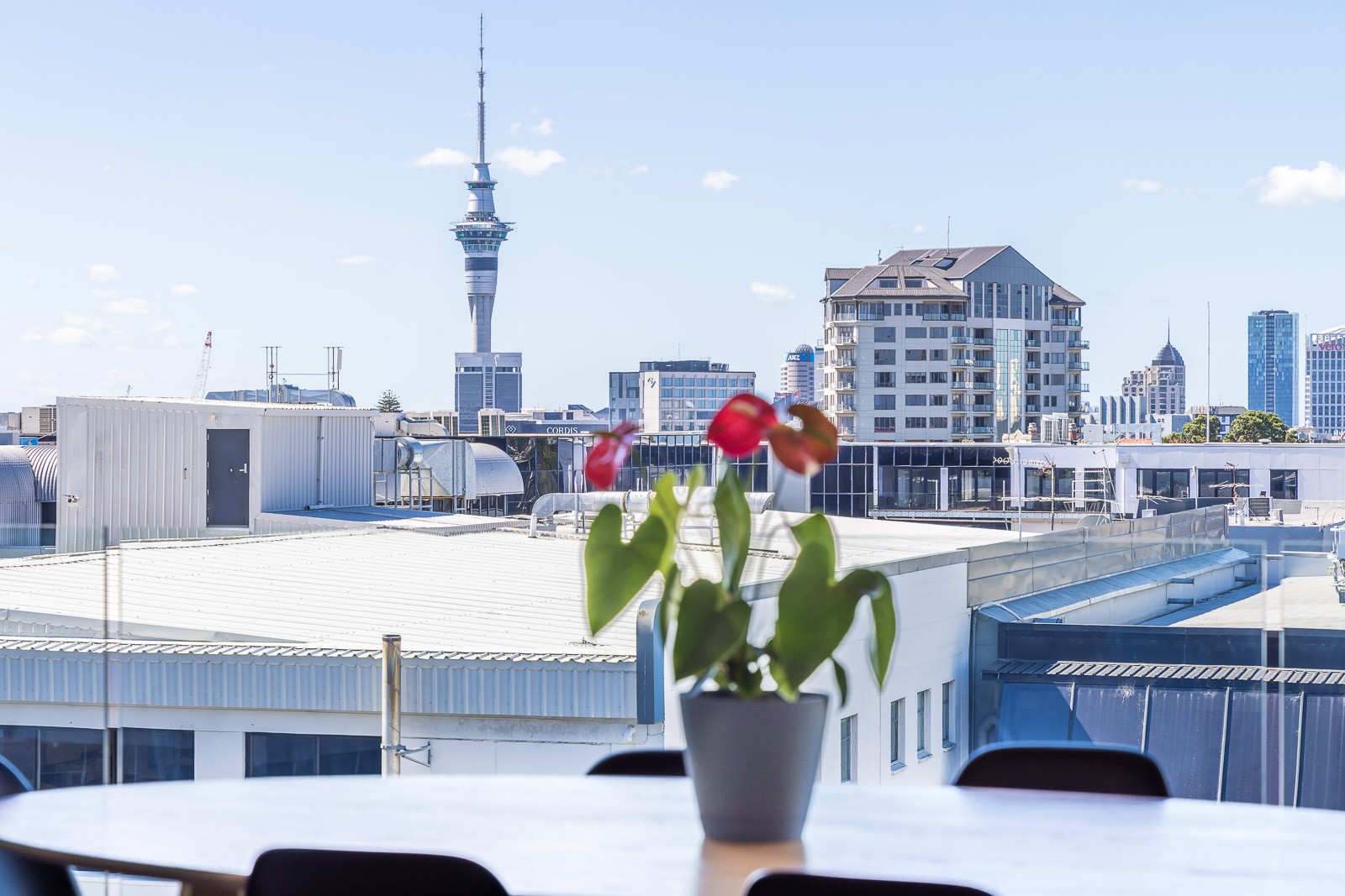 513/6A Nugent Street, Grafton, Auckland City