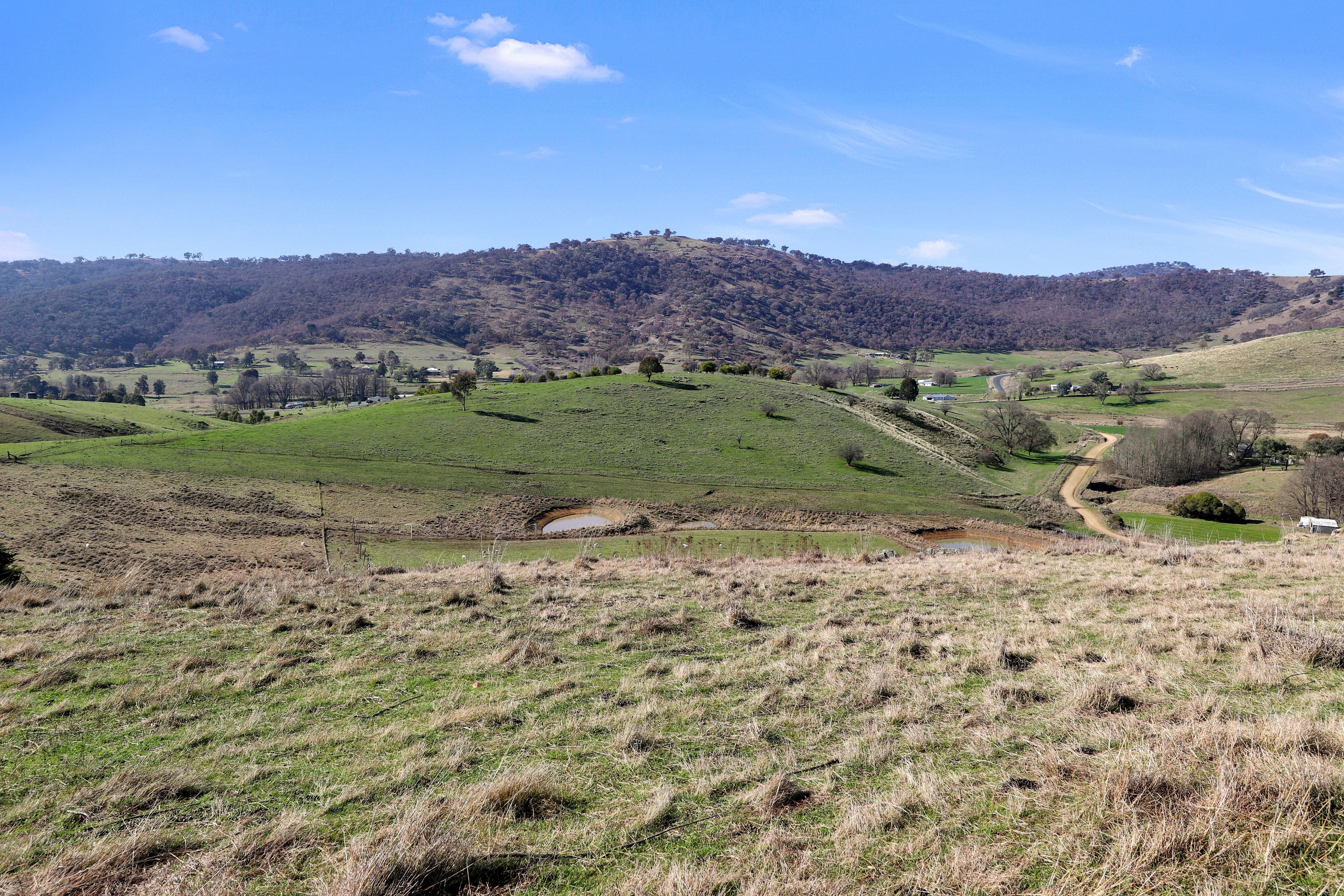 Lot 514 Back Sandy Gully Road, Adelong, NSW 2729 Land for Sale Ray