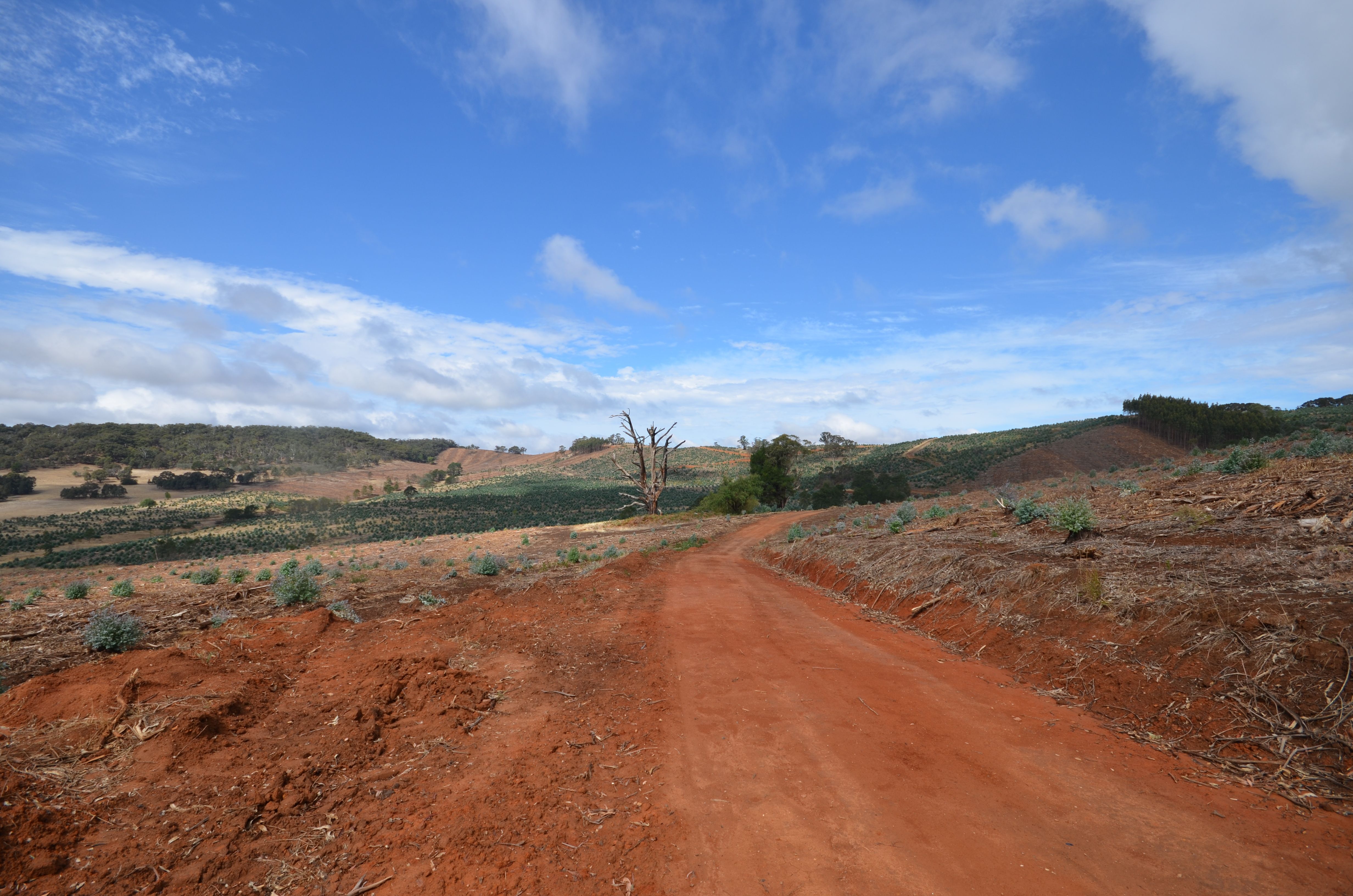 Mount Lonarch Road, MOUNT LONARCH, VIC 3468