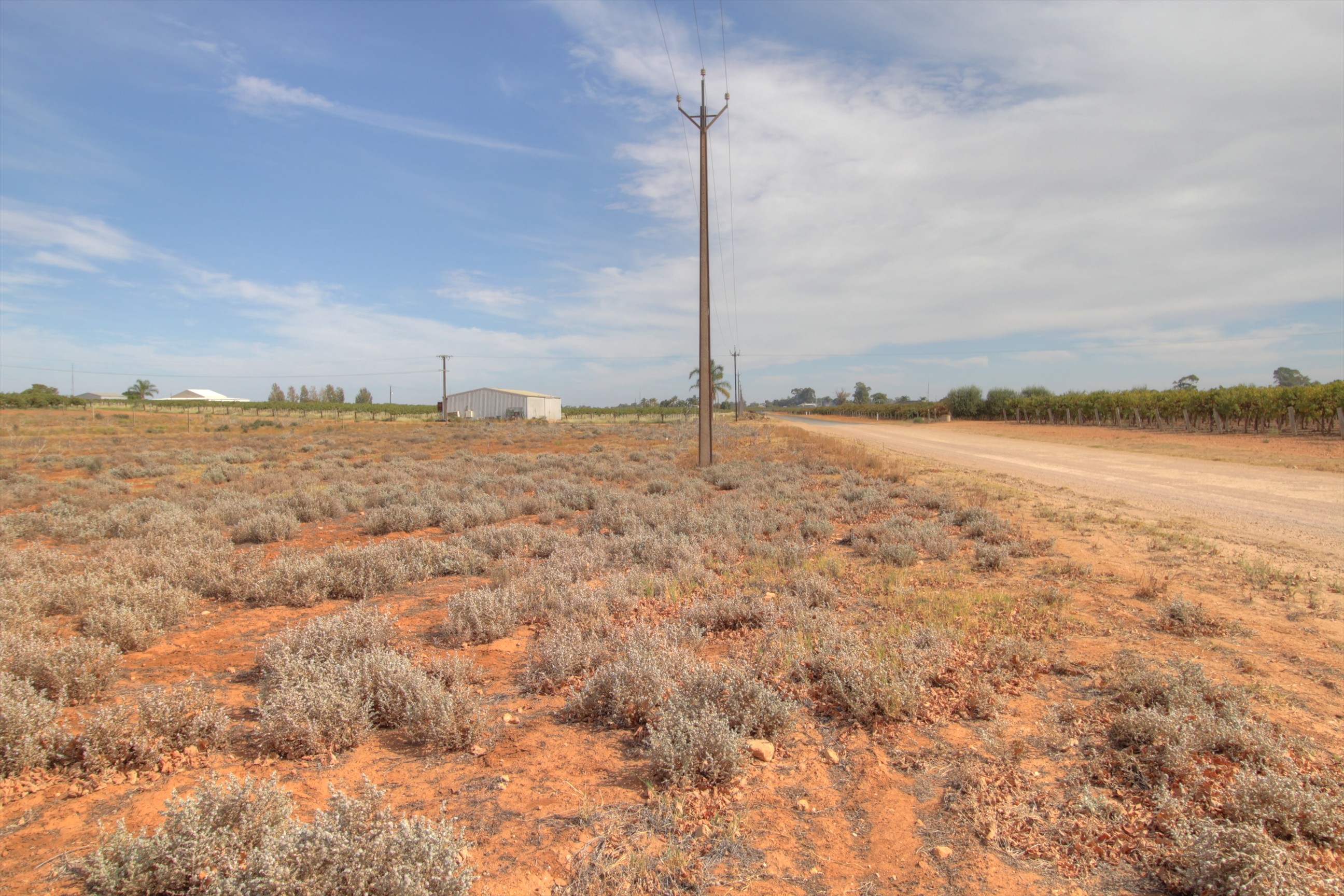 18 & 19 Tunkin Road, Barmera, SA 5345