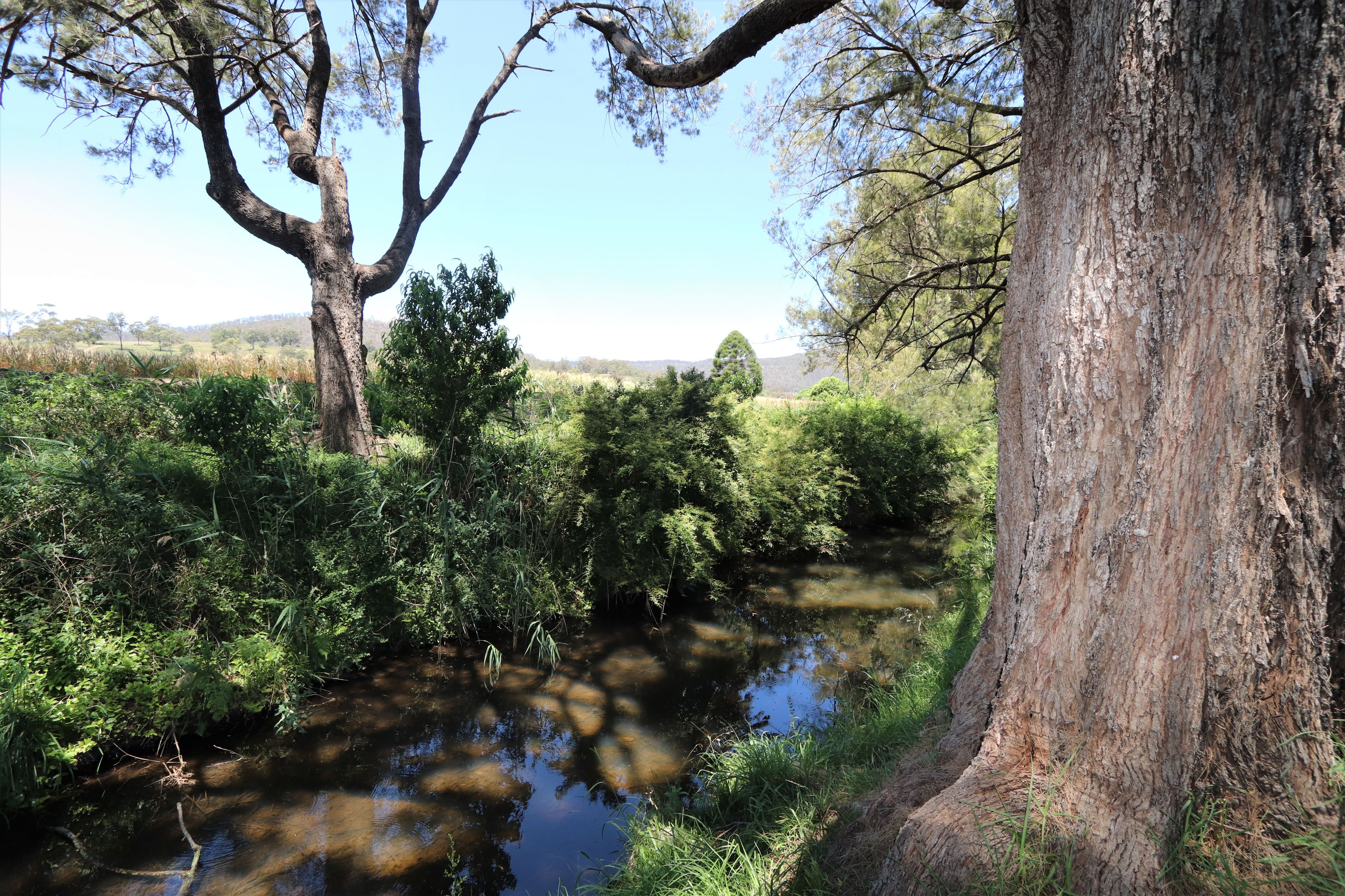 Lot 2 Border Road, Killarney QLD 4373