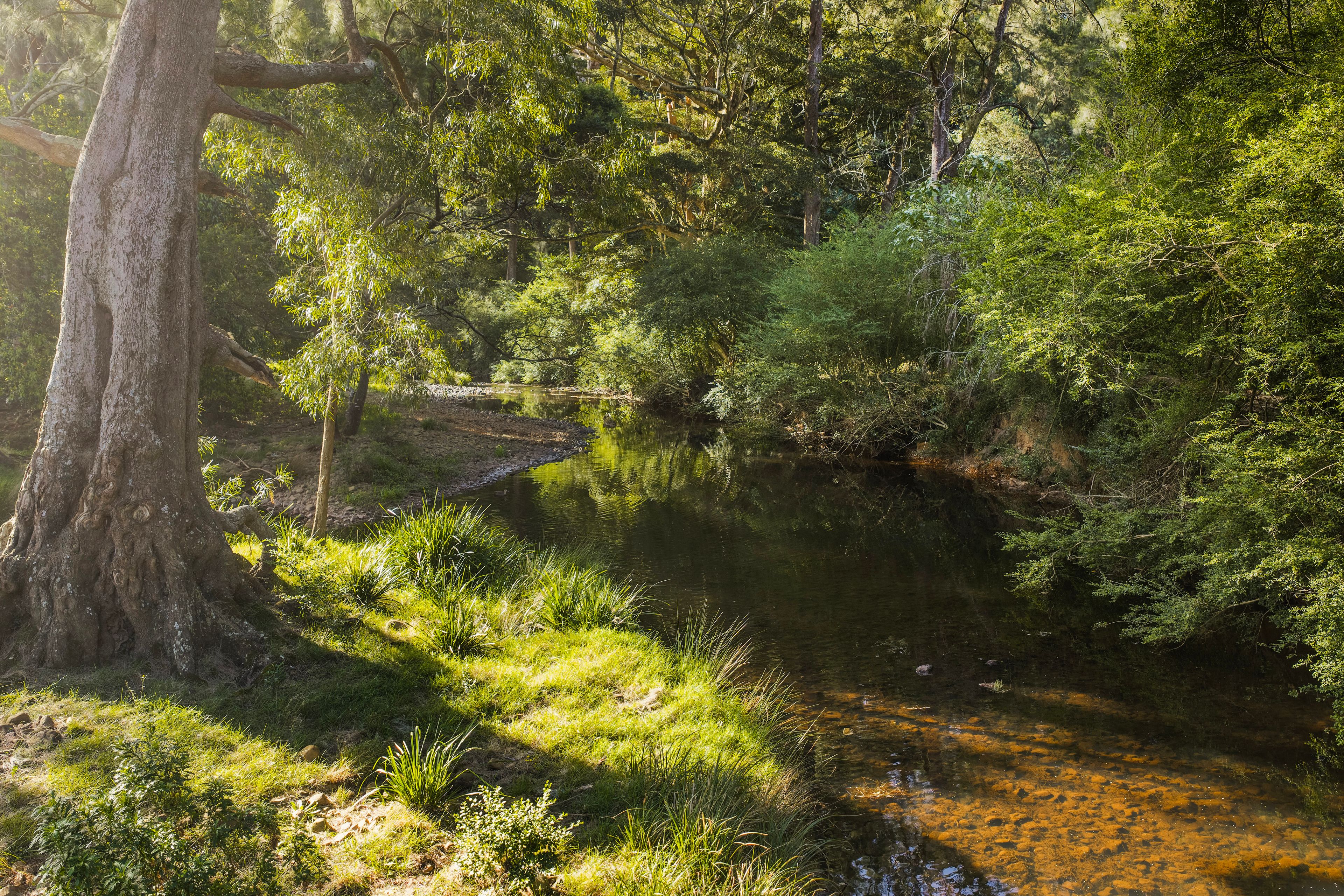 'Athelglow' A200B Princes Highway — photo 5 of 23