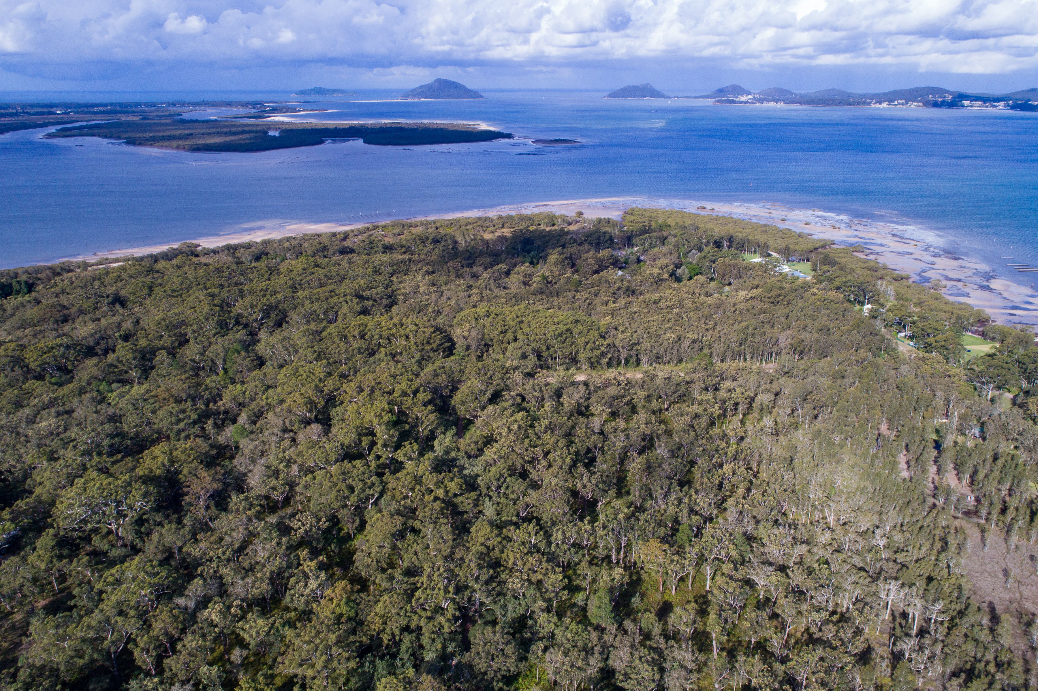 Lot 1 Nardoo Street, Pindimar, NSW 2324 Land for Sale Ray White Tea