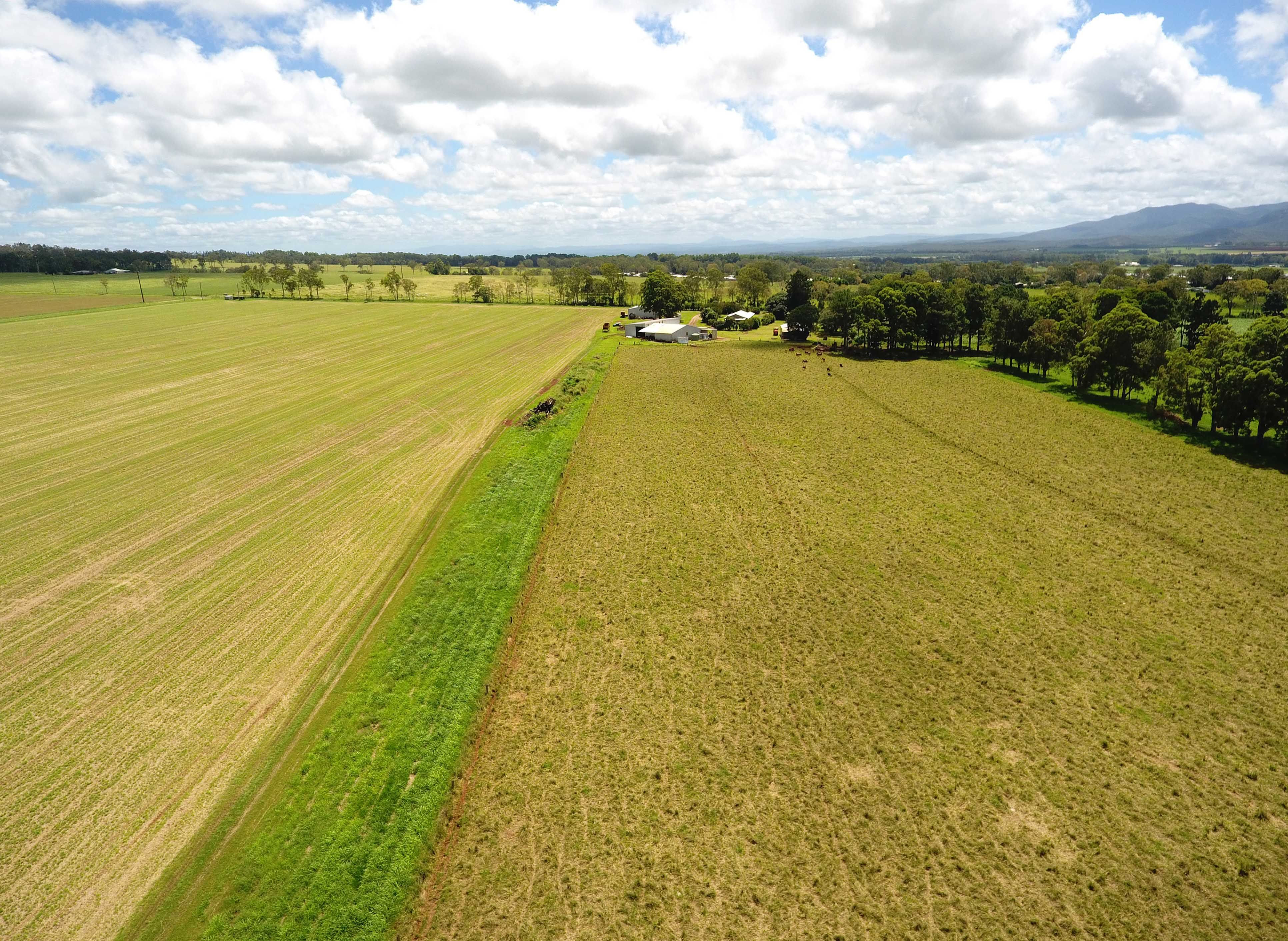 Tolga, QLD 4882 Rural Cropping Property for Sale Ray White Rural