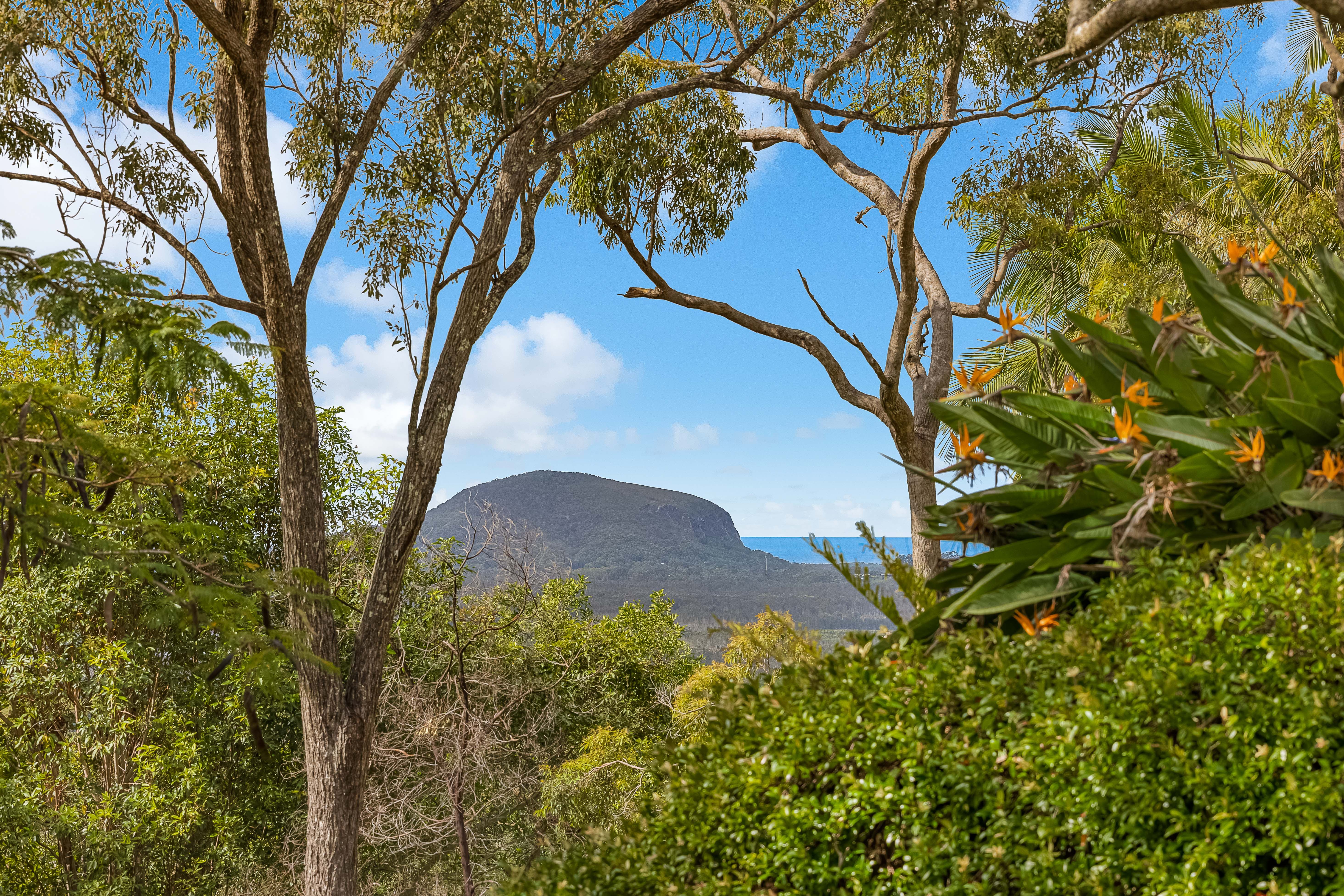 7 Mount Coolum Close, Maroochy River, QLD 4561