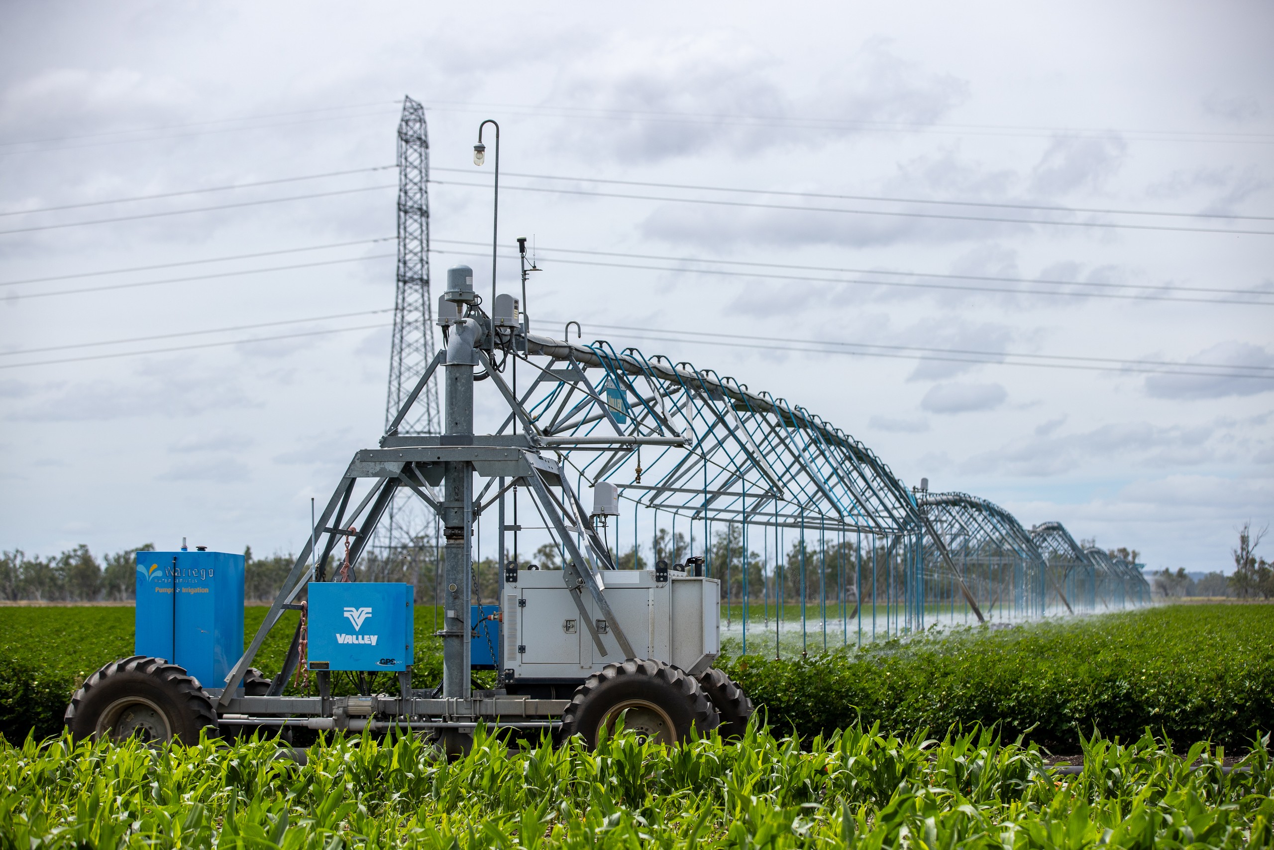 223 Black Gully Road, Pittsworth, QLD 4356