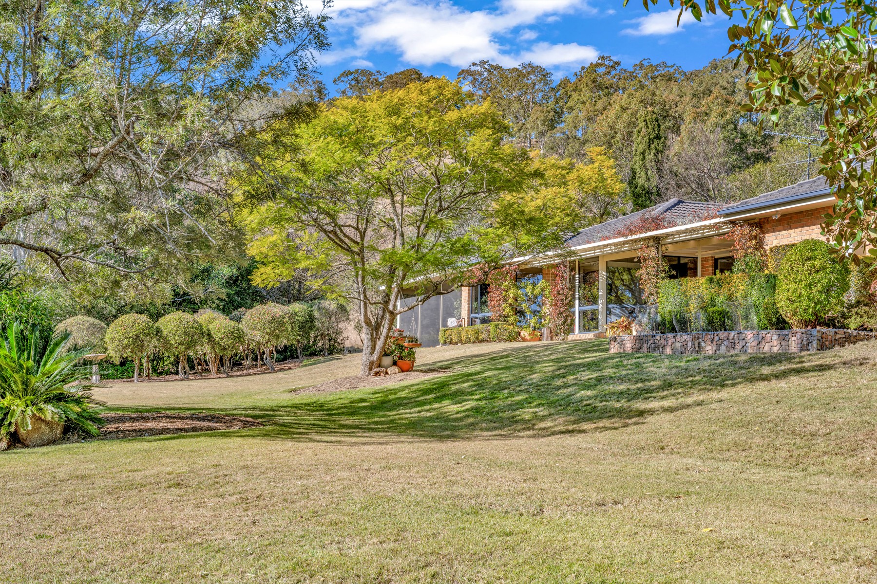 424 Wallarobba-Brookfield Road, Wallarobba, NSW 2420