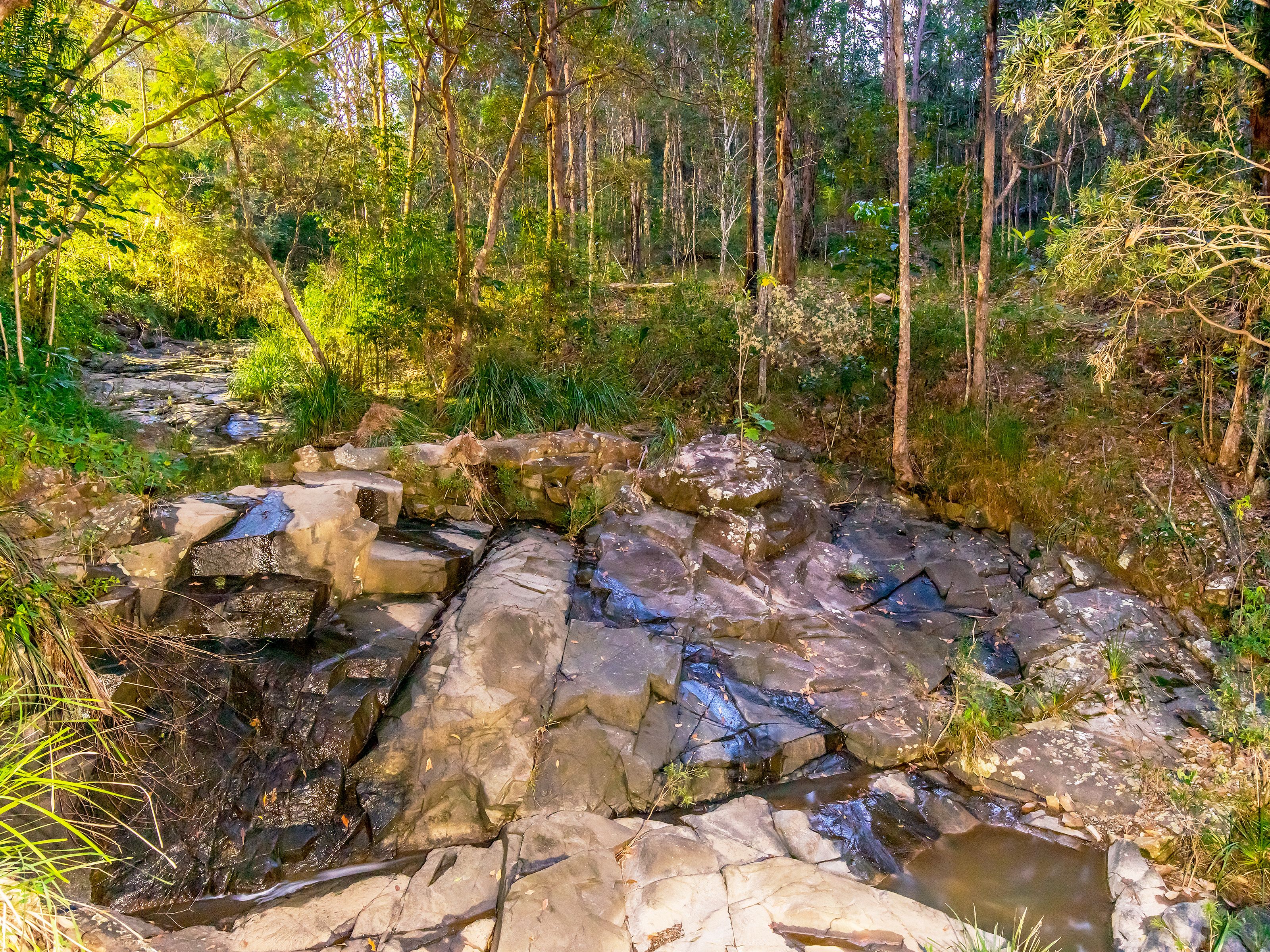 137 Heritage Drive, Clagiraba, QLD 4211