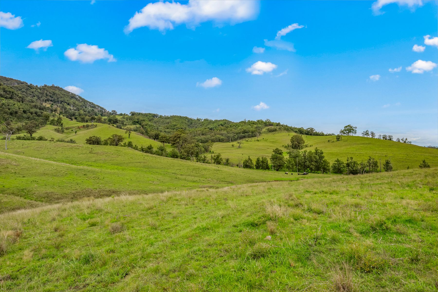 Carrowbrook Road Mount Olive — photo 12 of 15