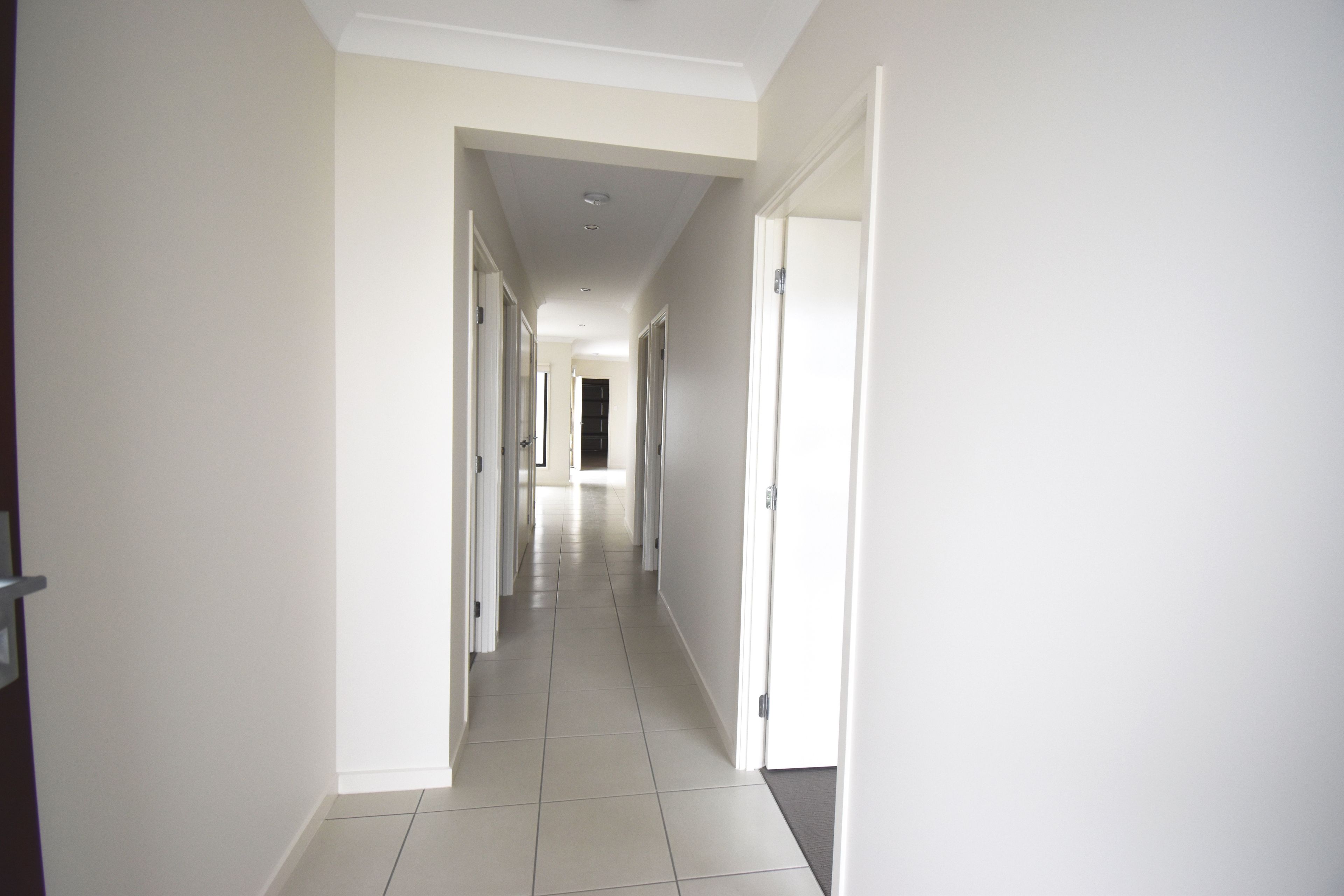 12 Pamphlett Place, Palmview, QLD 4553