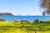 144 State Highway 1 photo 1