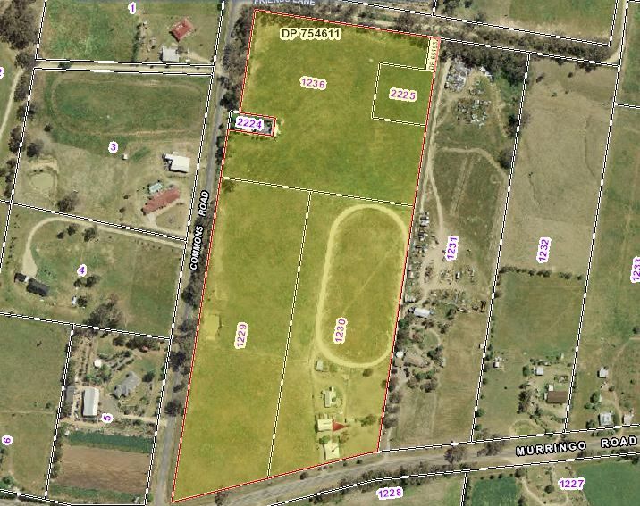 4198 Murringo Road, Young, NSW 2594