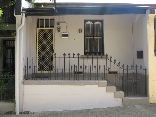 3 Bucknell Street, Newtown, NSW 2042