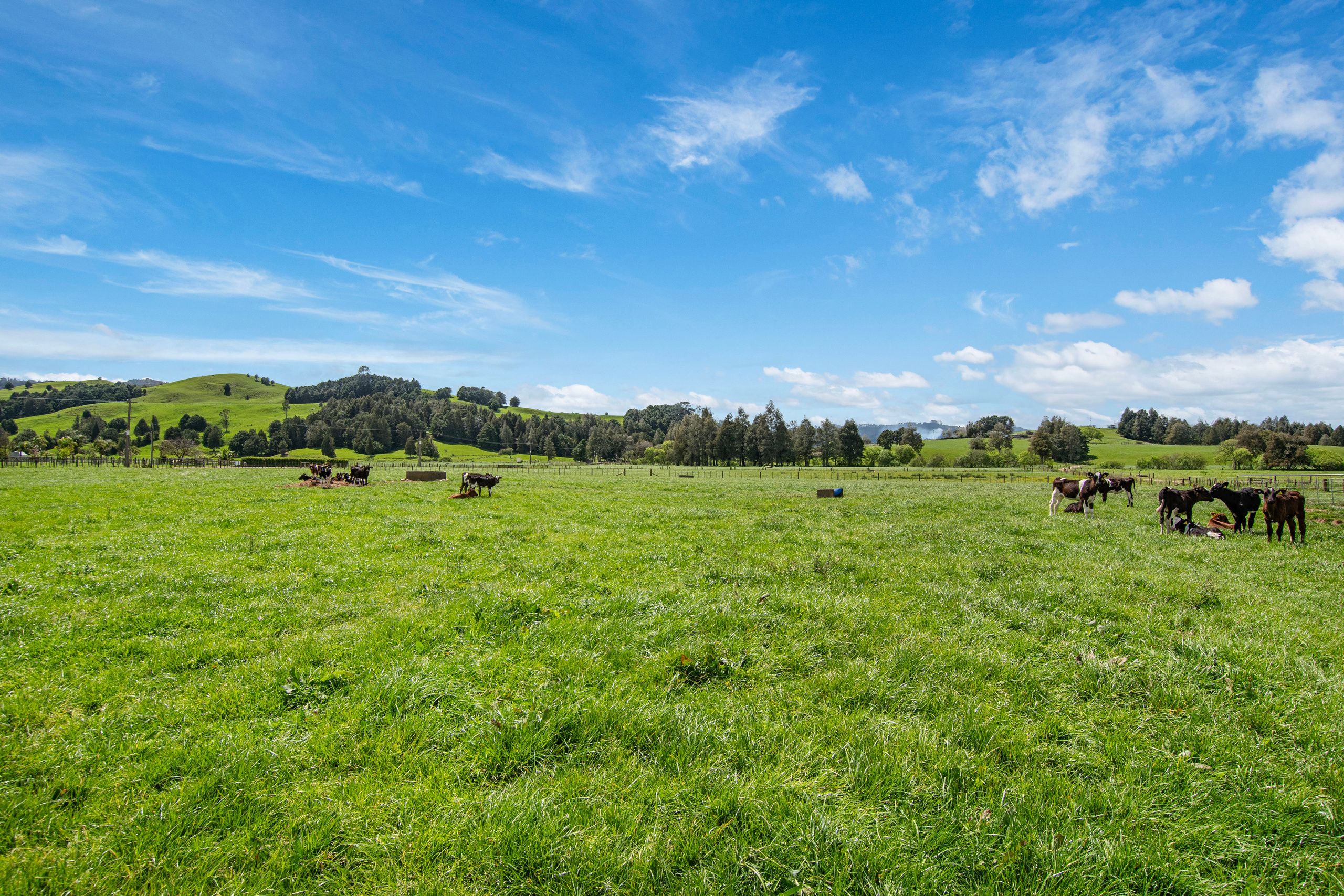 18 Russek Road, Hikurangi, Whangarei District