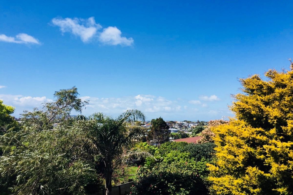 5 Wilmington Place, Forrest Hill, North Shore City