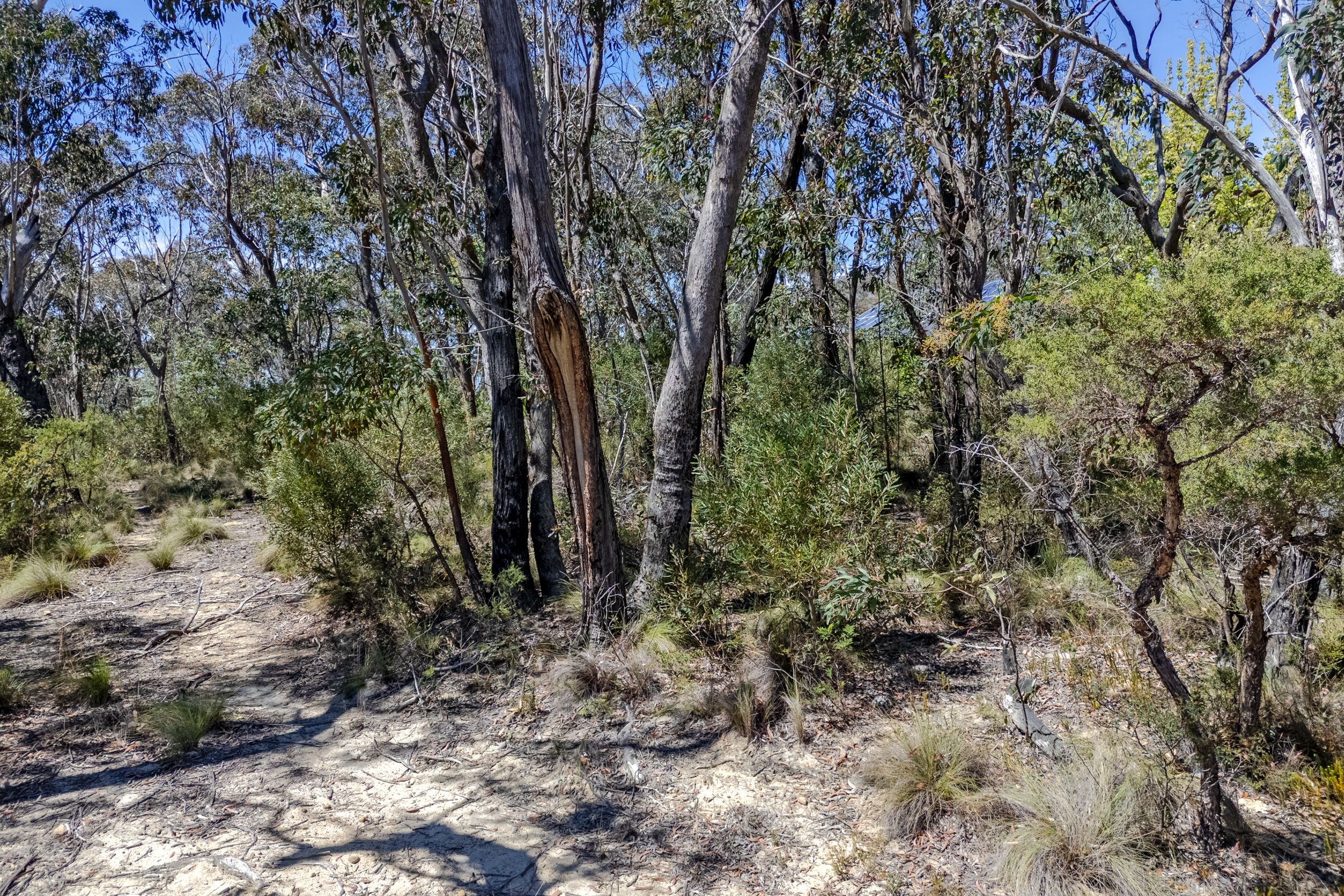 19-21 Closeburn Drive — photo 9 of 12