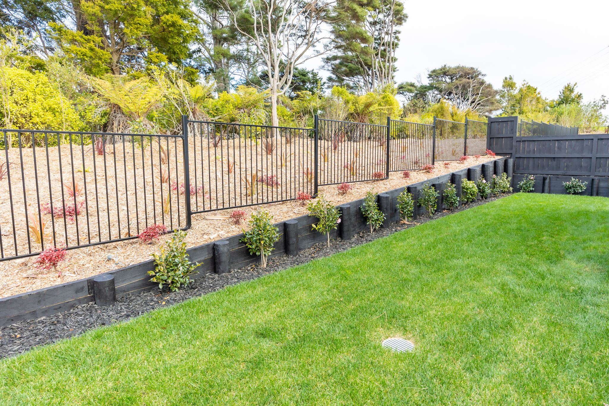 38 Skulander Crescent, Millwater, Rodney