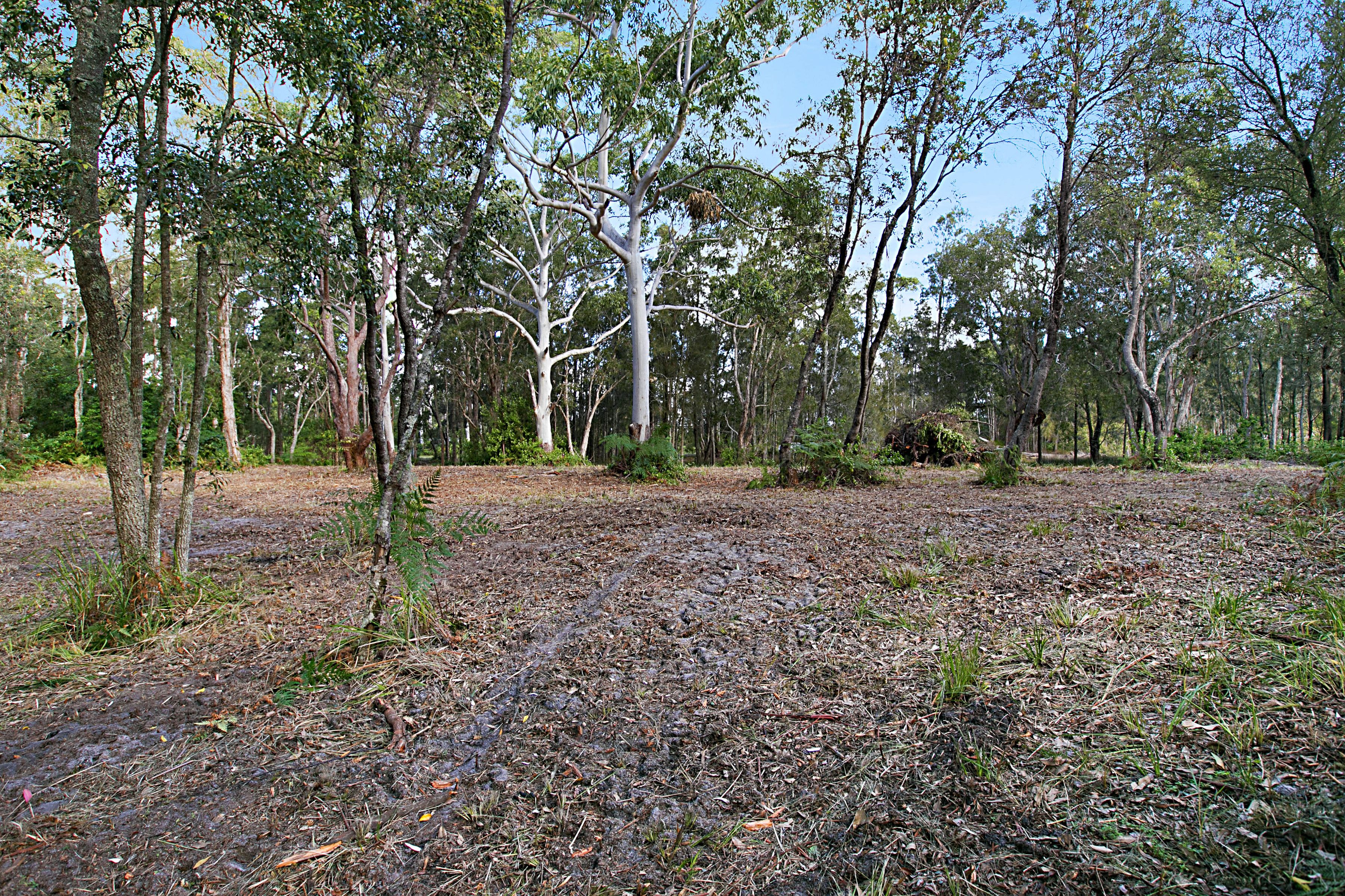 Lot 1 Nardoo Street, Pindimar, NSW 2324 Land for Sale Ray White Tea