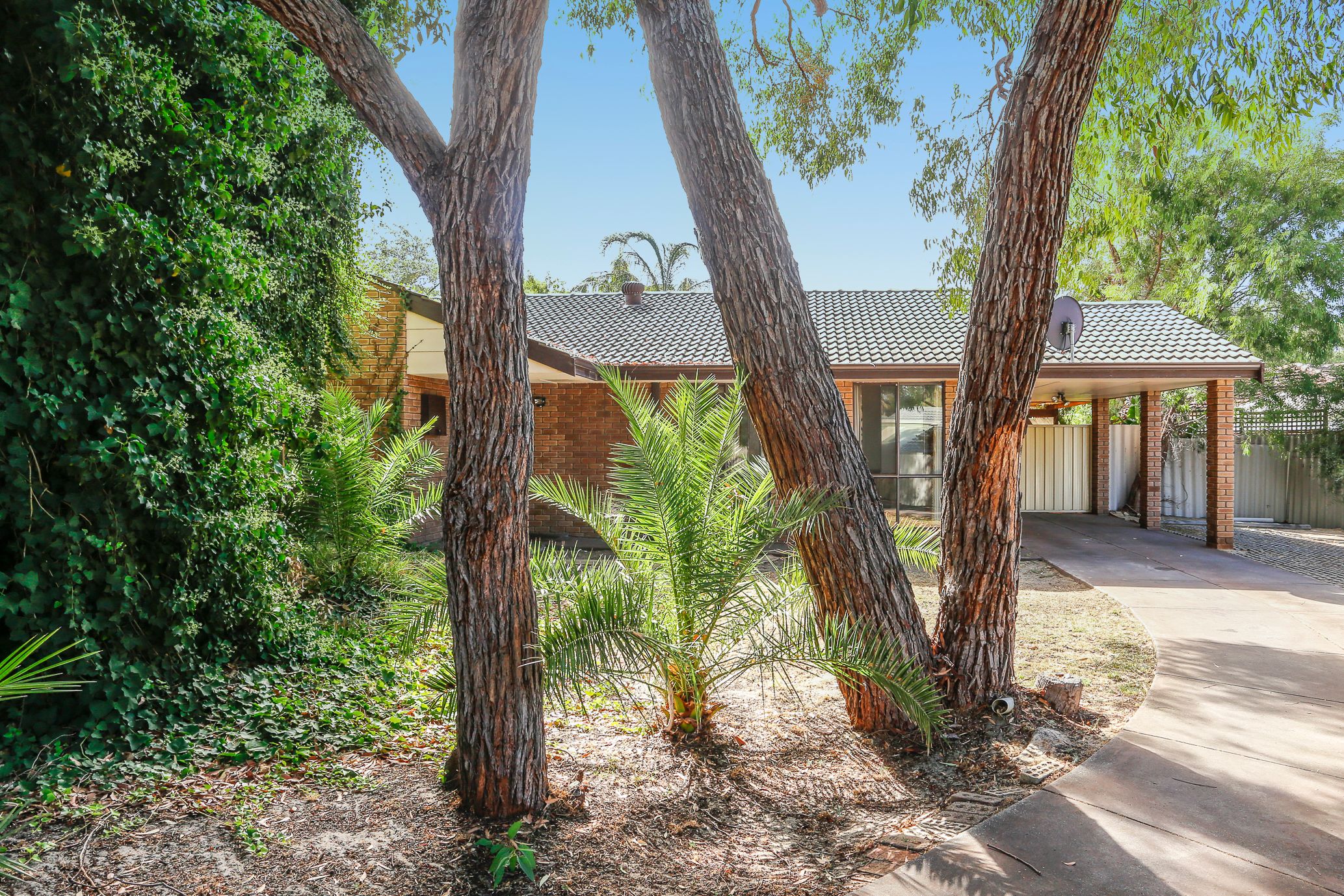 7 Squatter Court, Edgewater, WA 6027