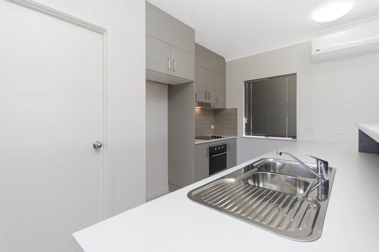2 Sorghum, Rasmussen, QLD 4815