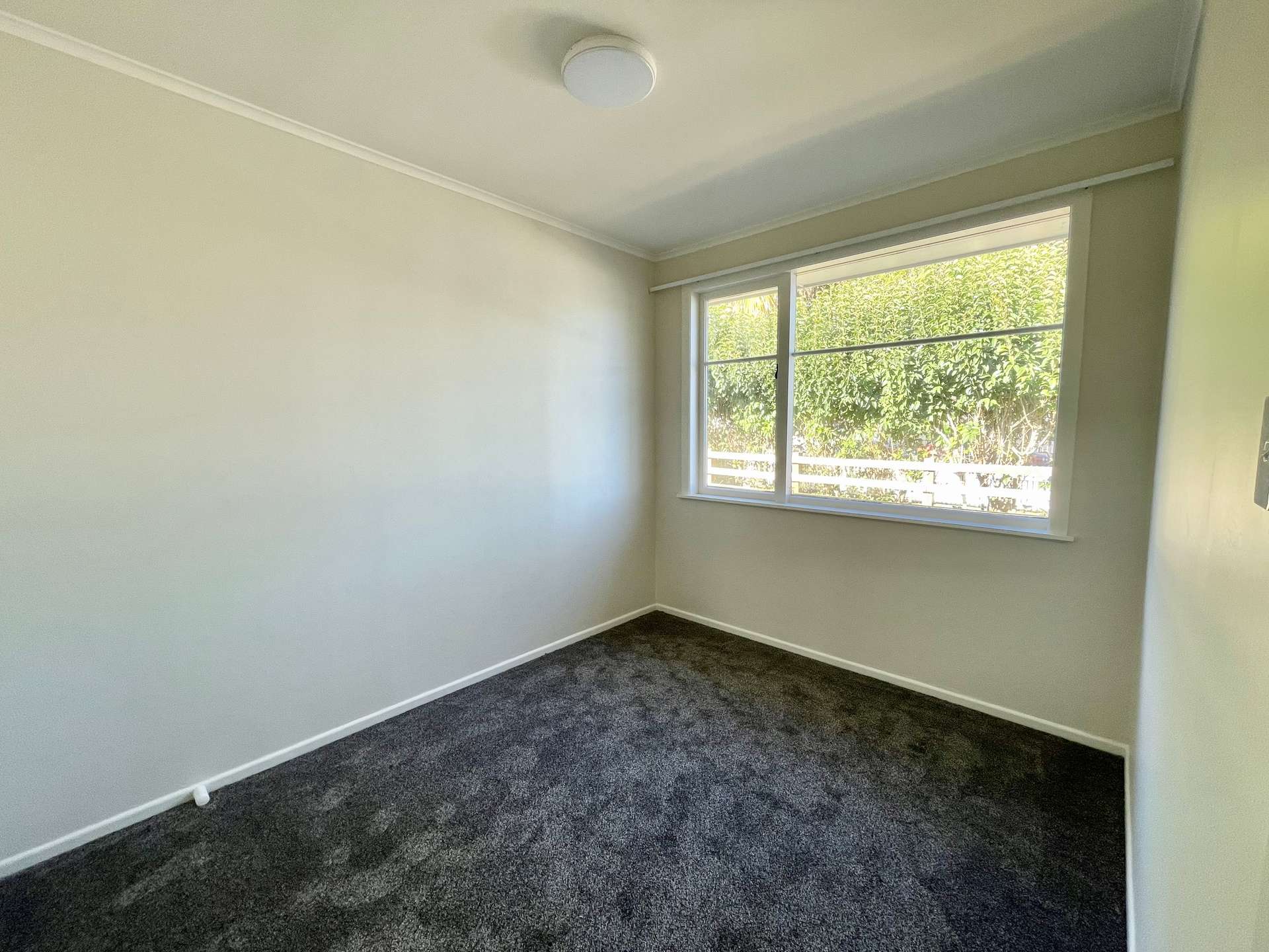 84 Harrington Road photo 9