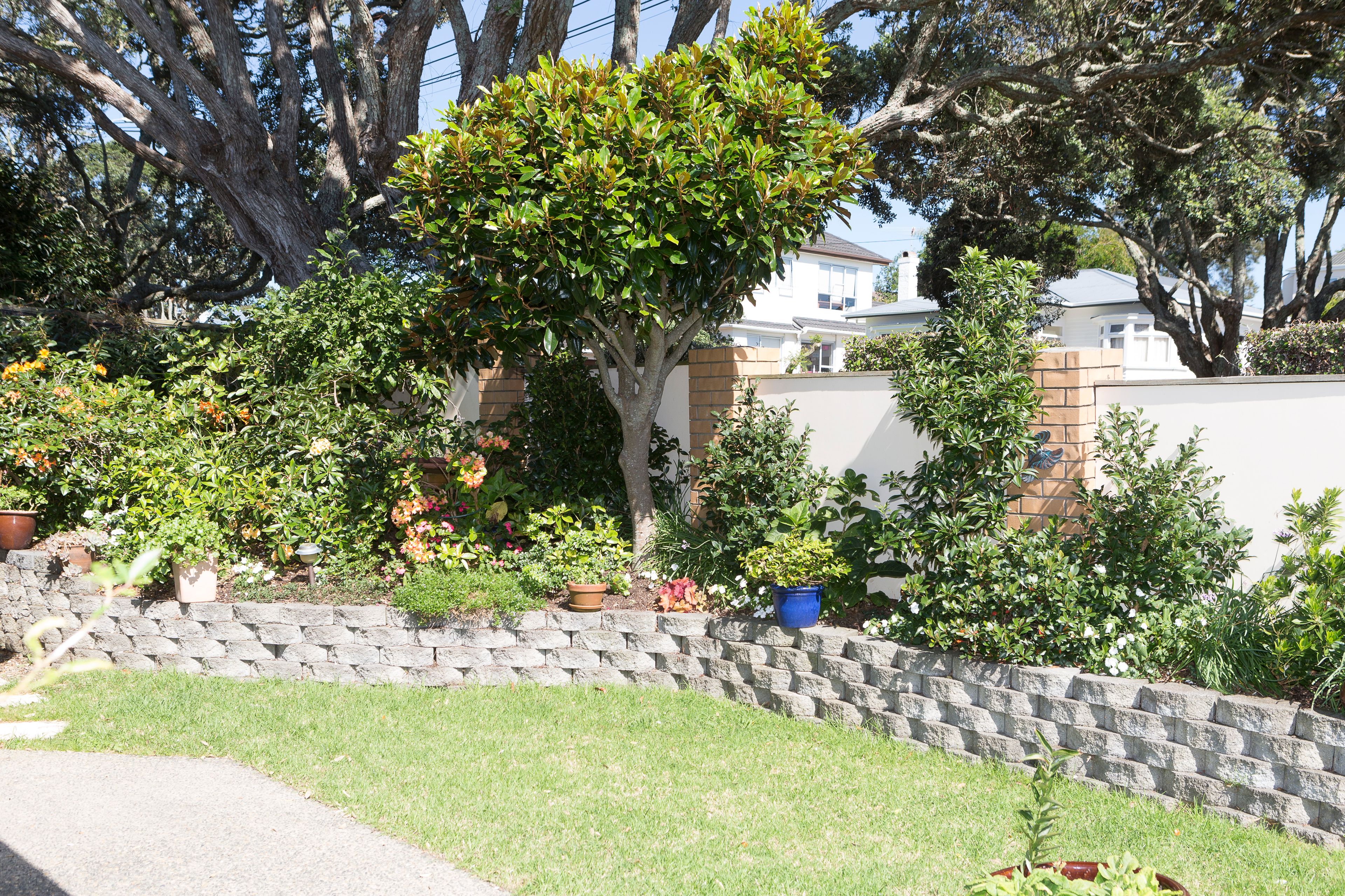 15A Irirangi Road, Greenlane, Auckland City