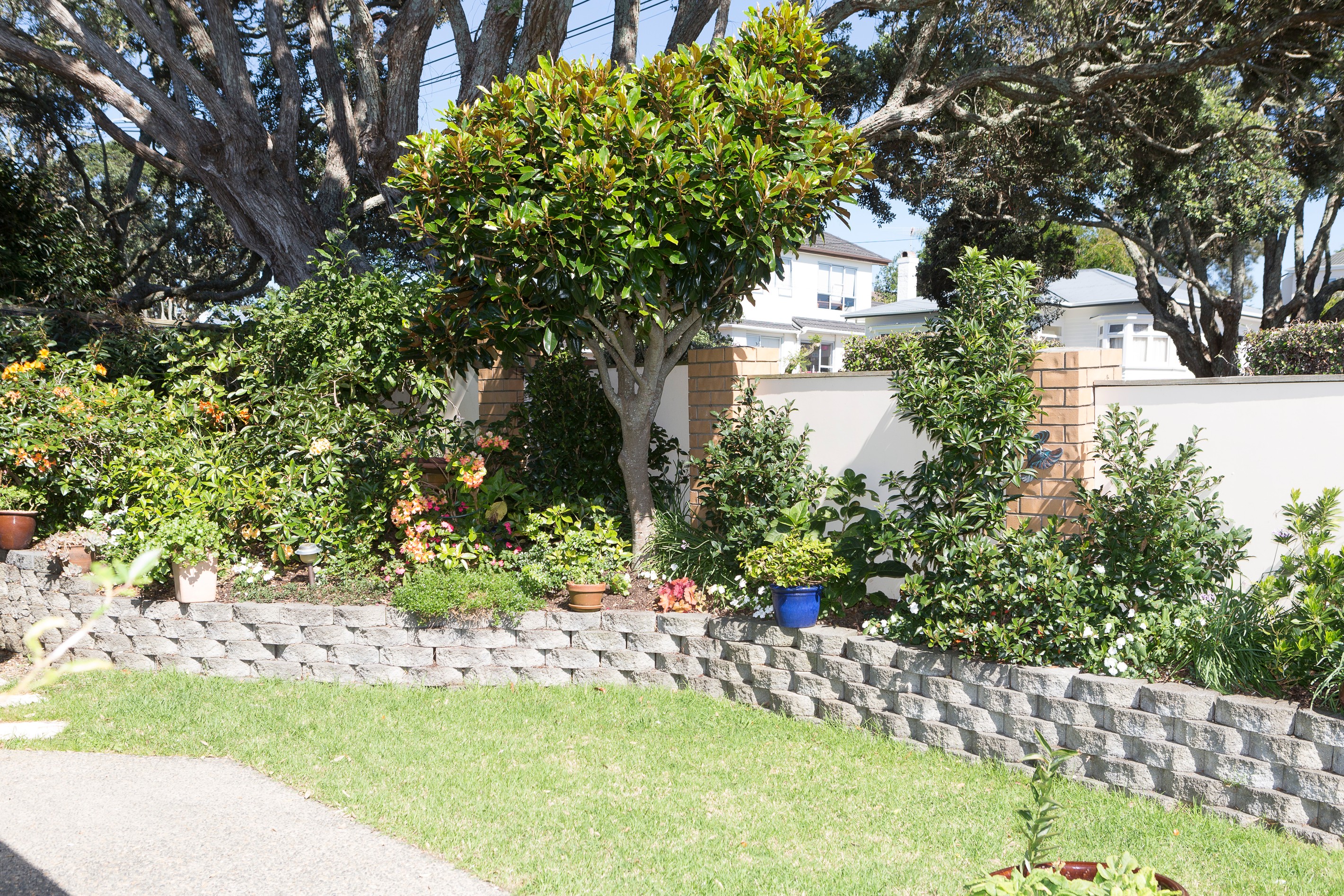 15A Irirangi Road, Greenlane, Auckland City