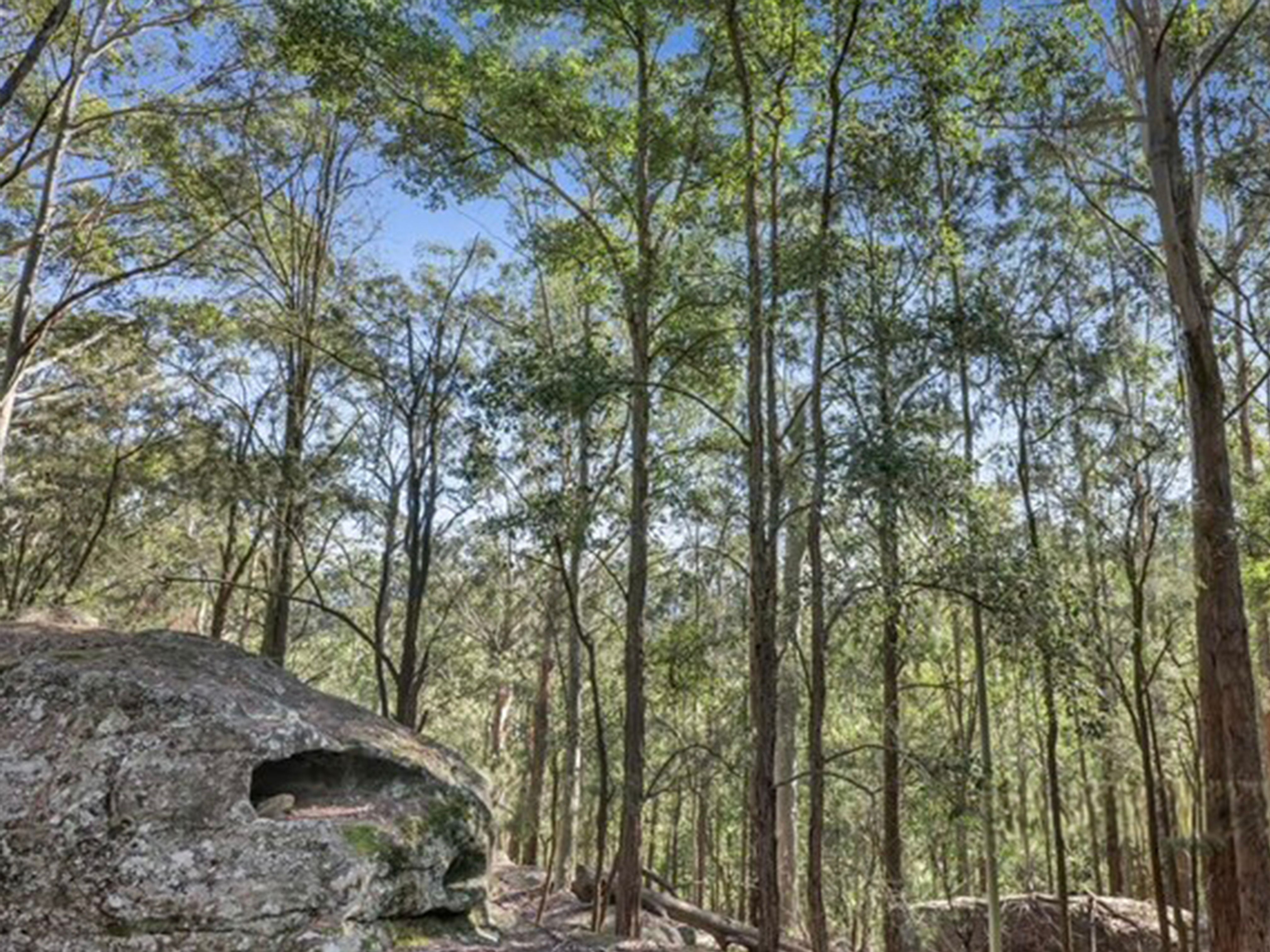 497 Toepfers Road, Wyee, NSW 2259 Rural Cropping Property for Sale