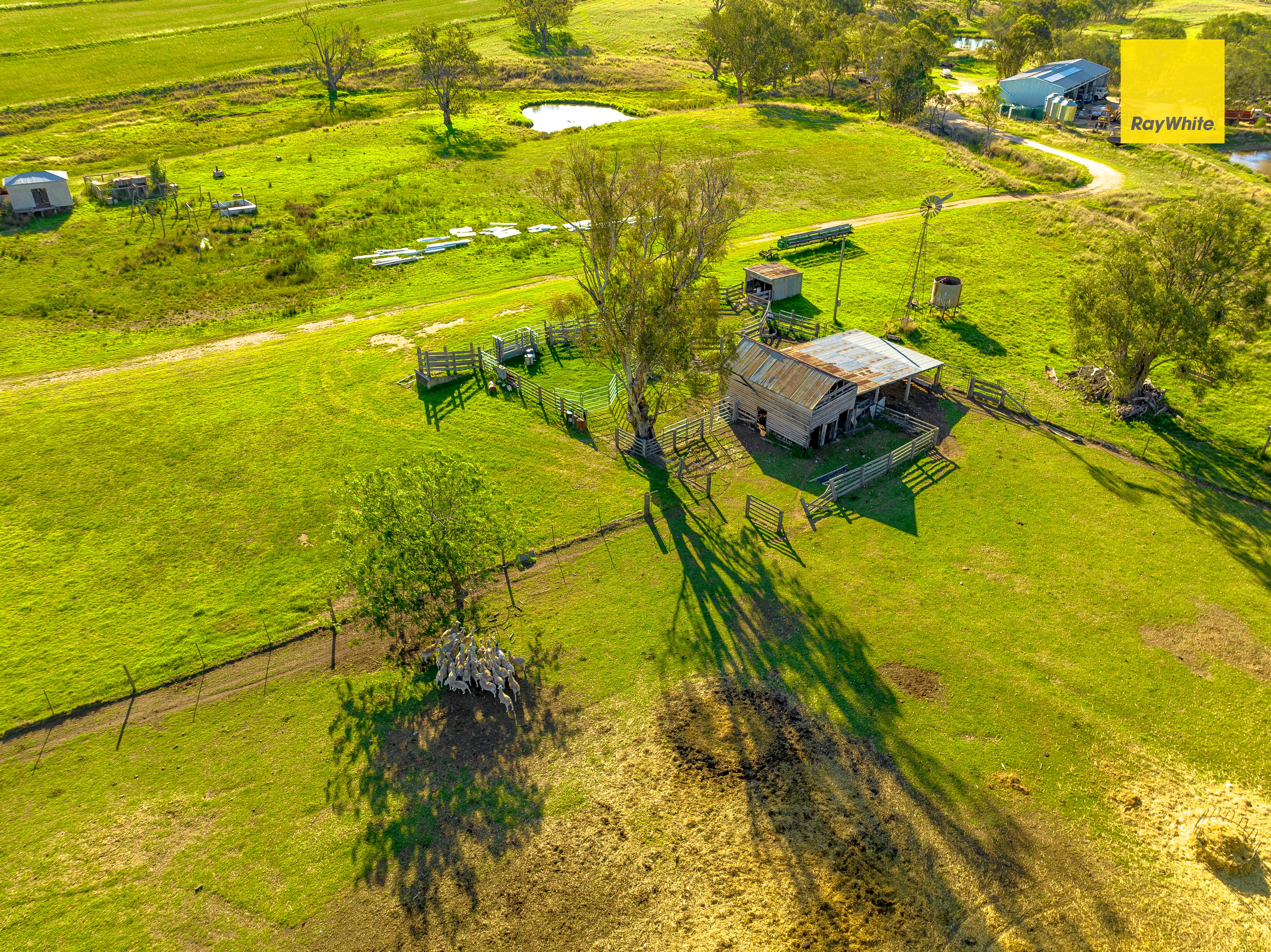 3911 Bundarra Road, Inverell, NSW 2360 Rural Mixed Farming Property for Sale Ray White Rural