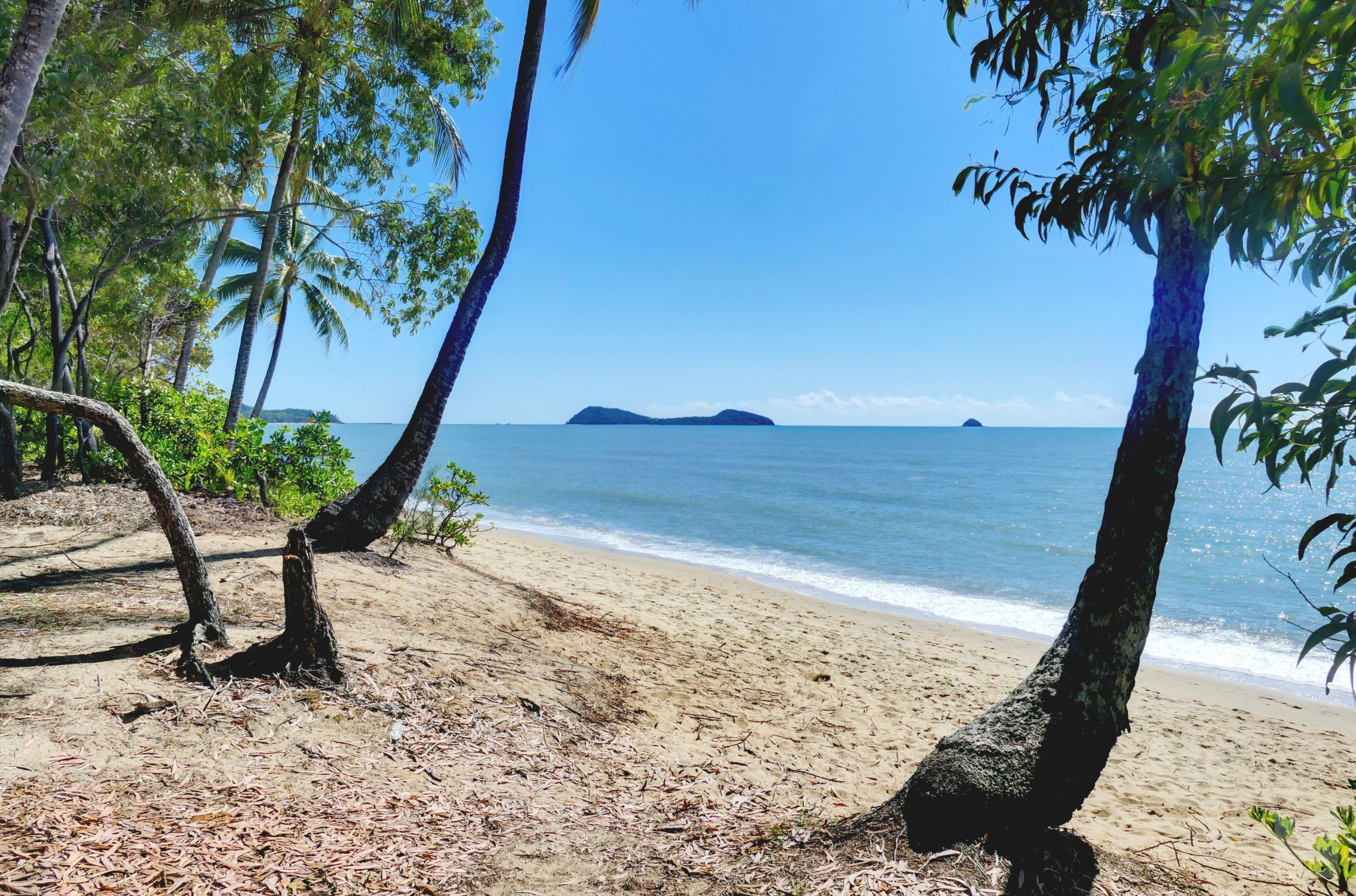 2/21 Endeavour Road, Clifton Beach, QLD 4879