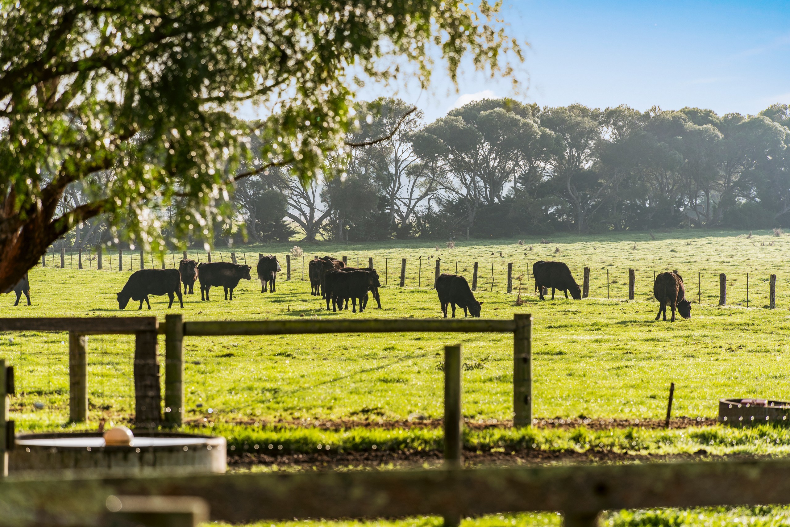 130 Swamp Road, Catani, VIC 3981