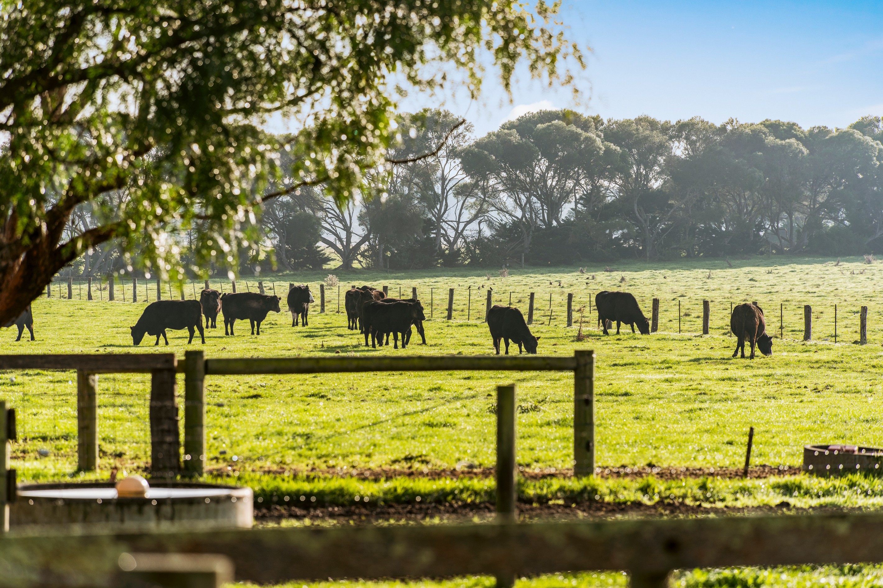 130 Swamp Road, Catani, VIC 3981