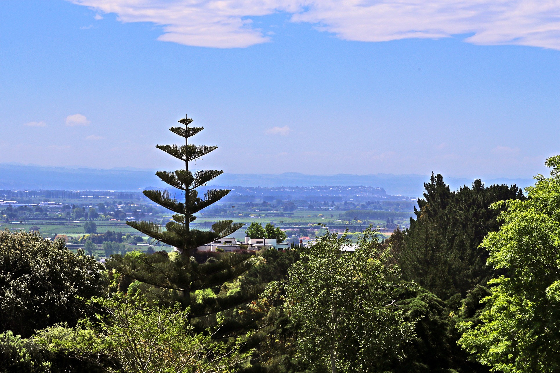 121 Te Mata Peak Road, Havelock North, Hastings District