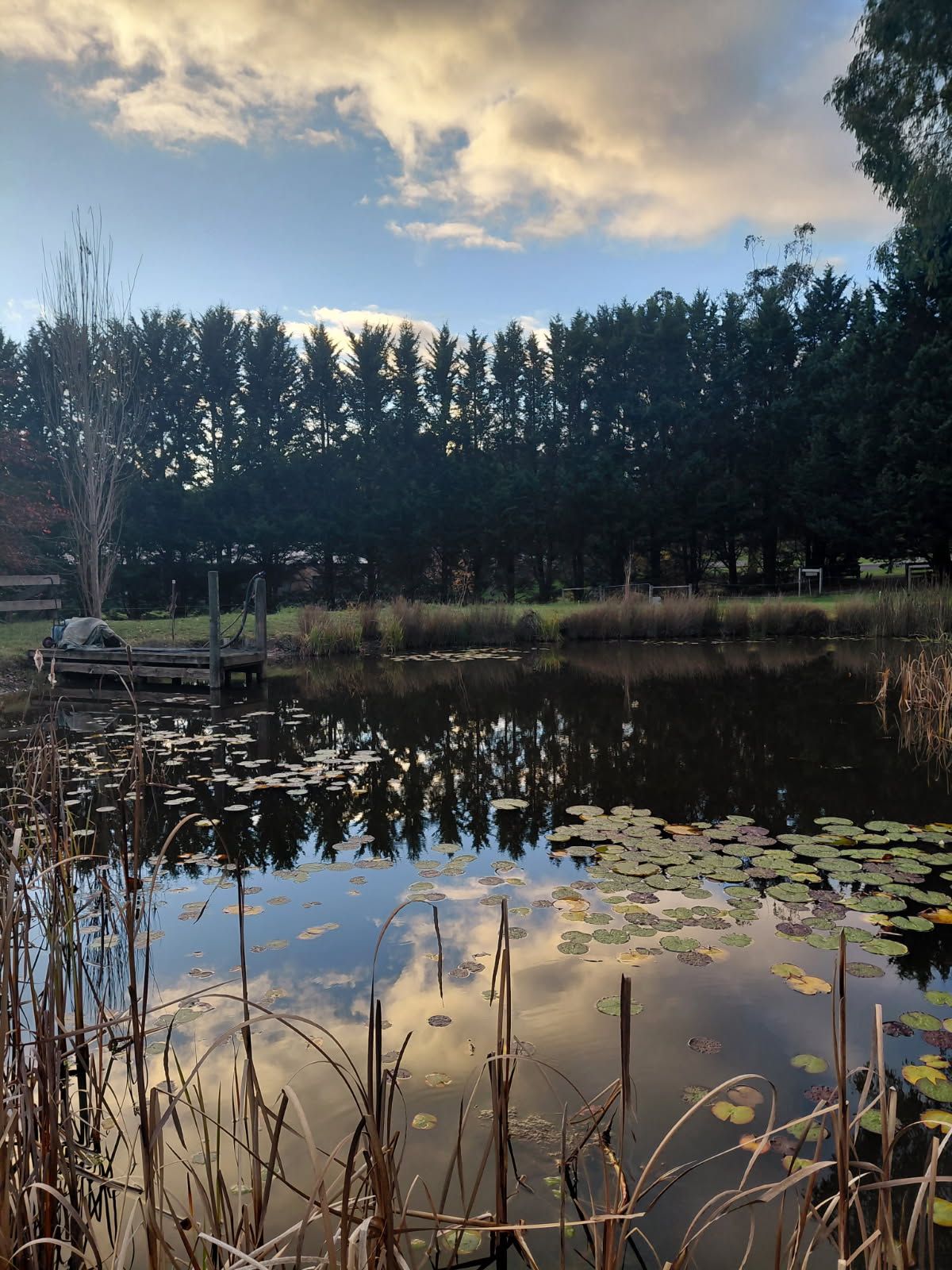 9 Cameron Close — photo 8 of 9