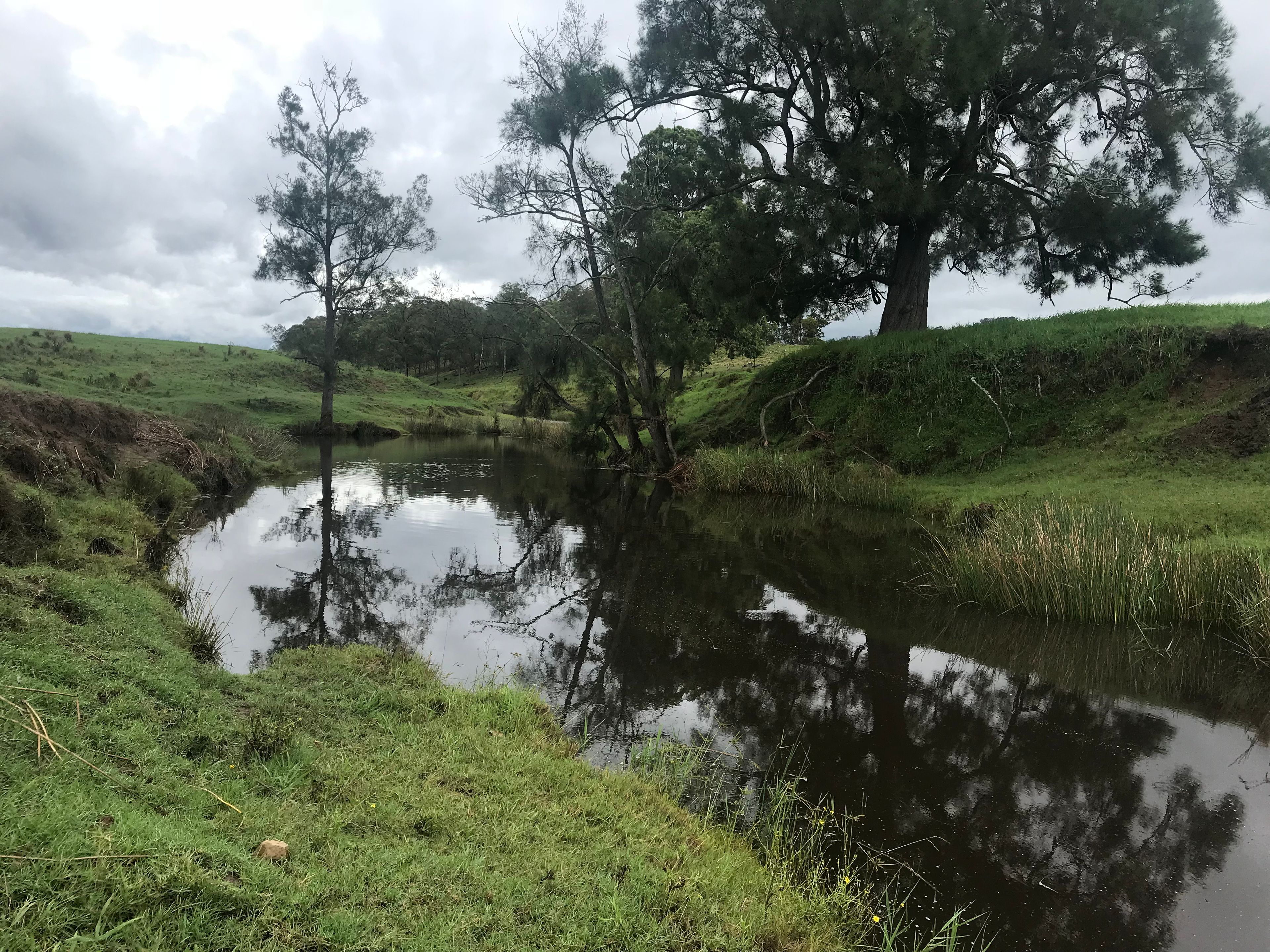 Lot 6 DP162949 Dungog Road, DUNGOG, NSW 2420