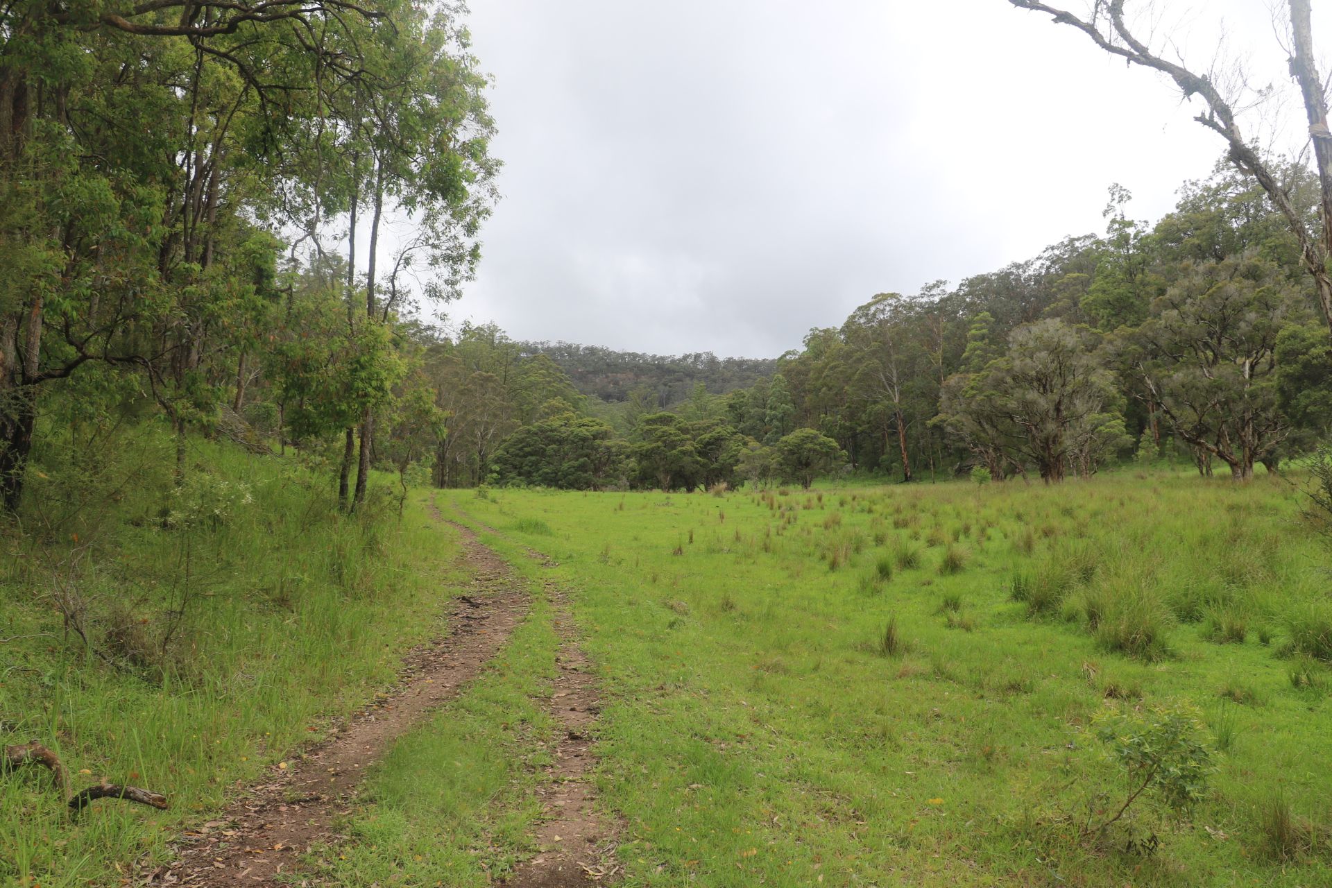 Lot 314 1341A Putty Valley Road, Putty, NSW 2330