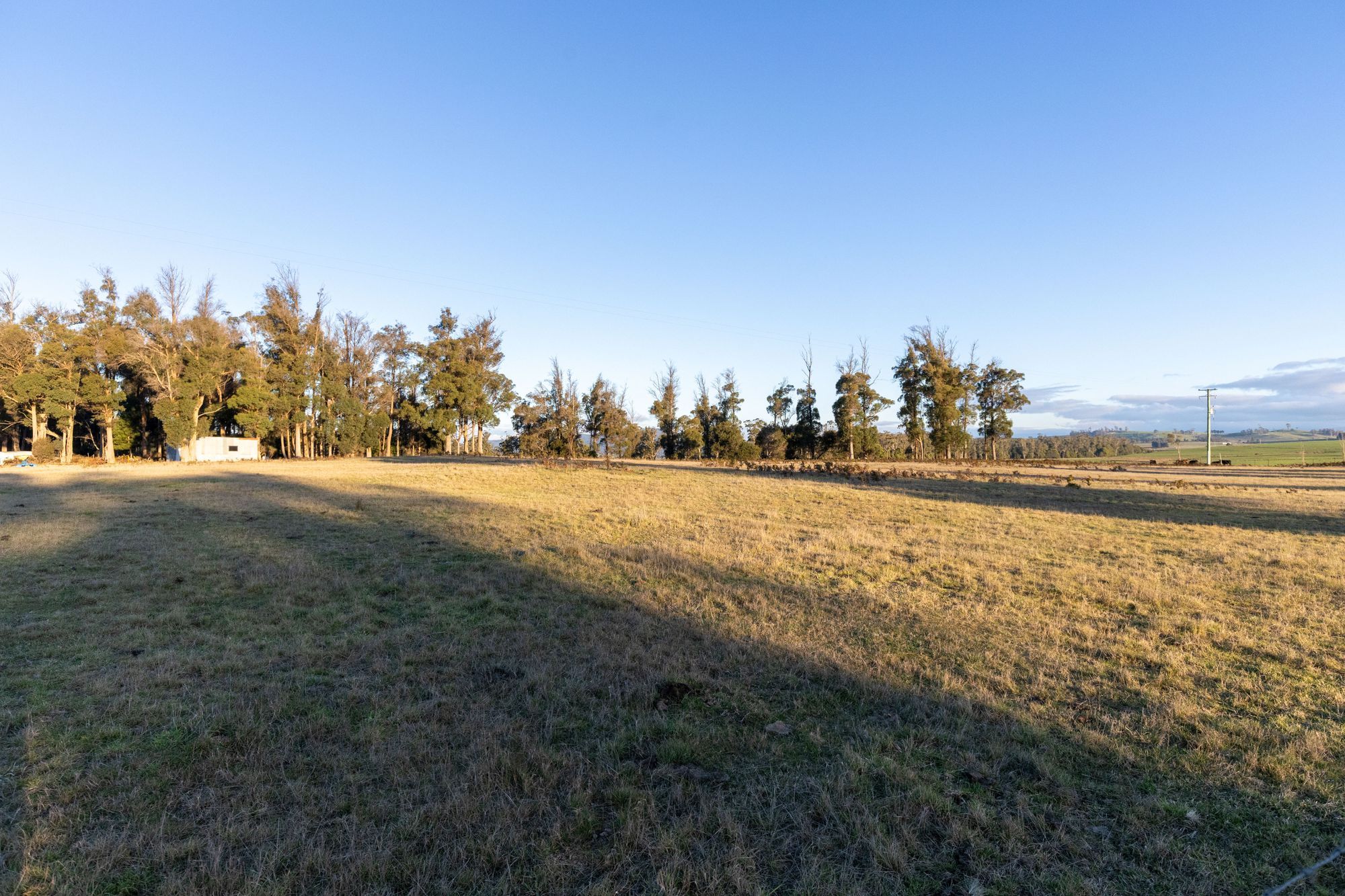 300 Felmingham Road — photo 3 of 30