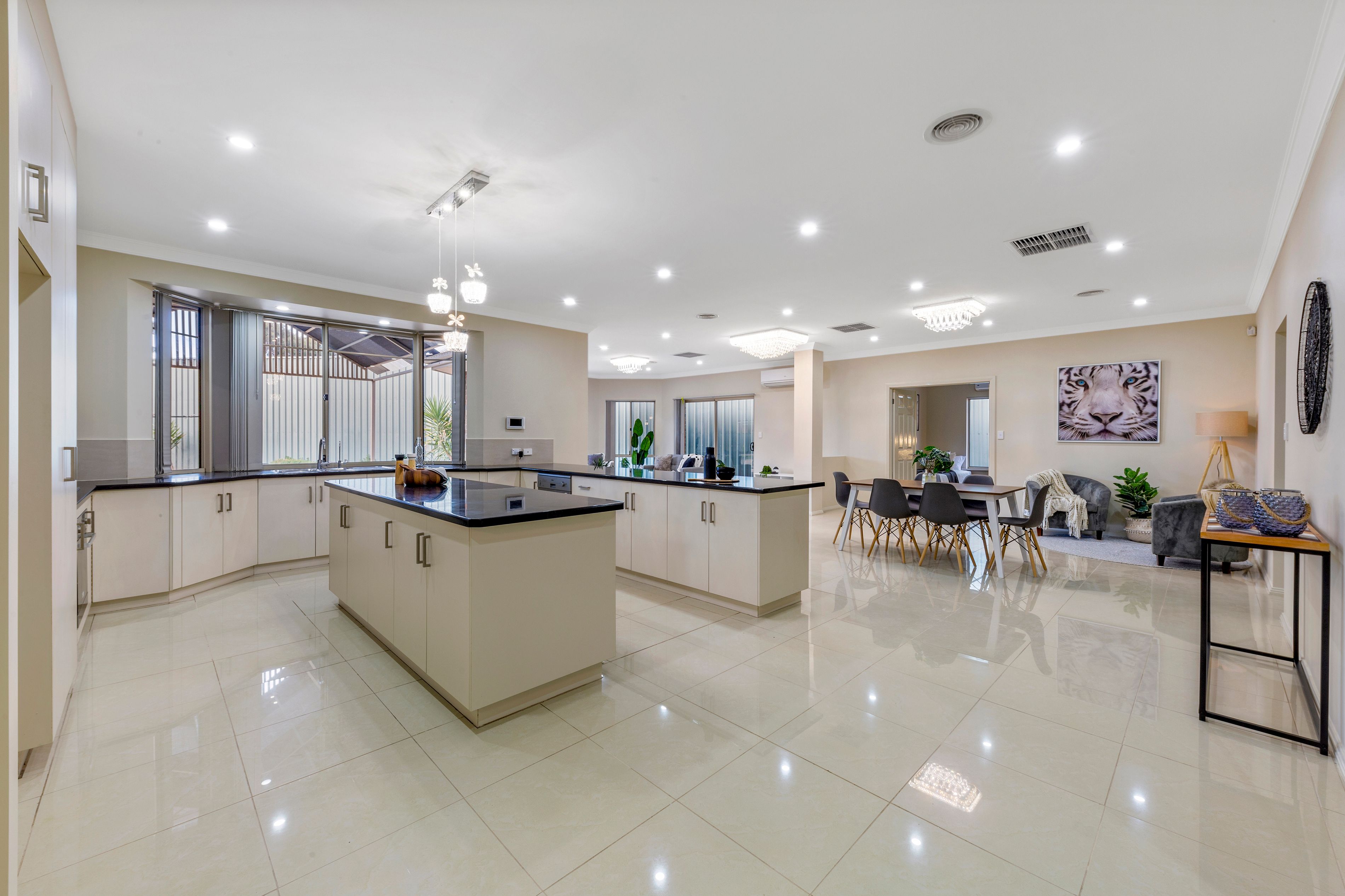 3 Holly Court, Mawson Lakes, SA 5095