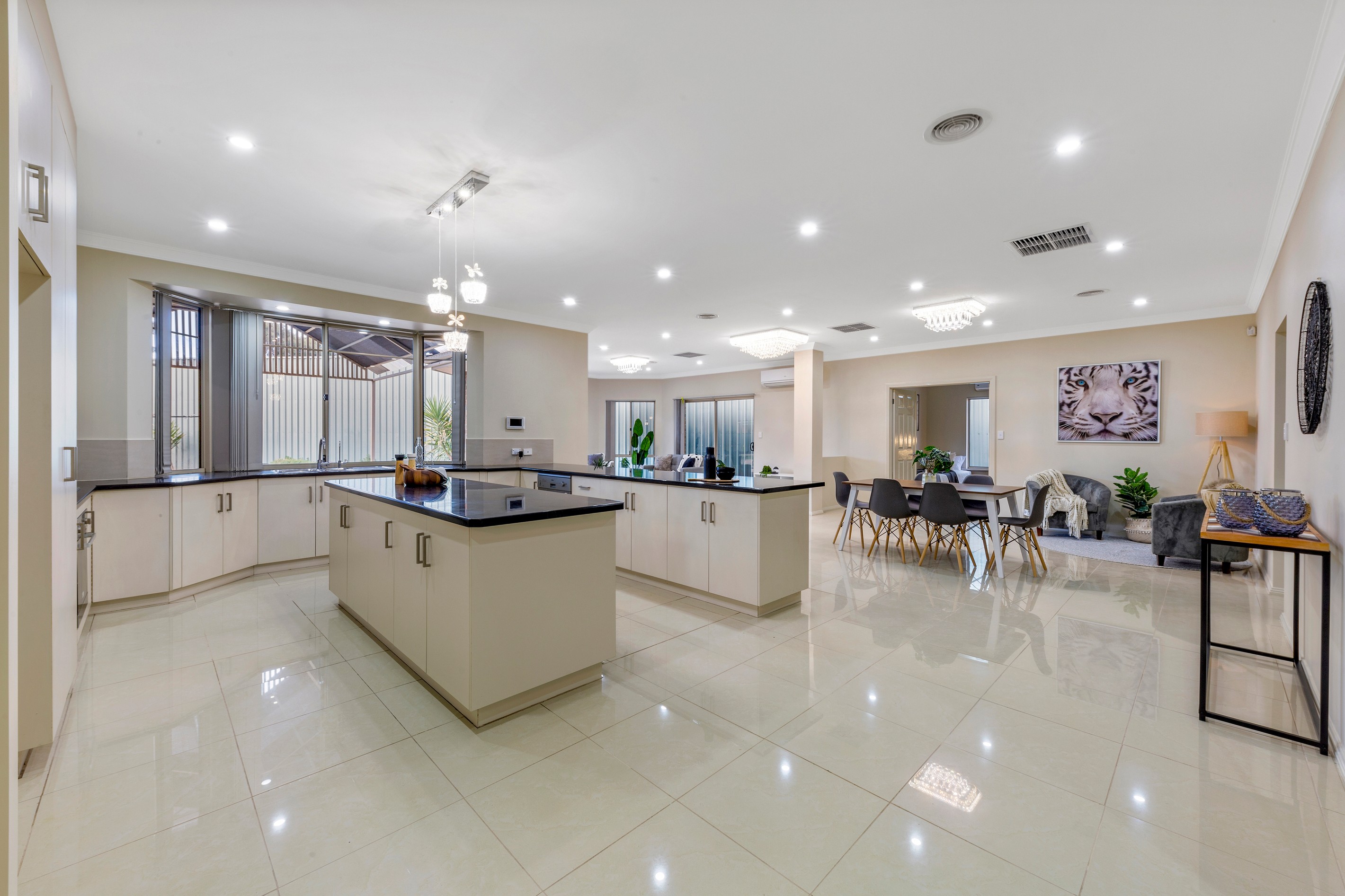 3 Holly Court, Mawson Lakes, SA 5095