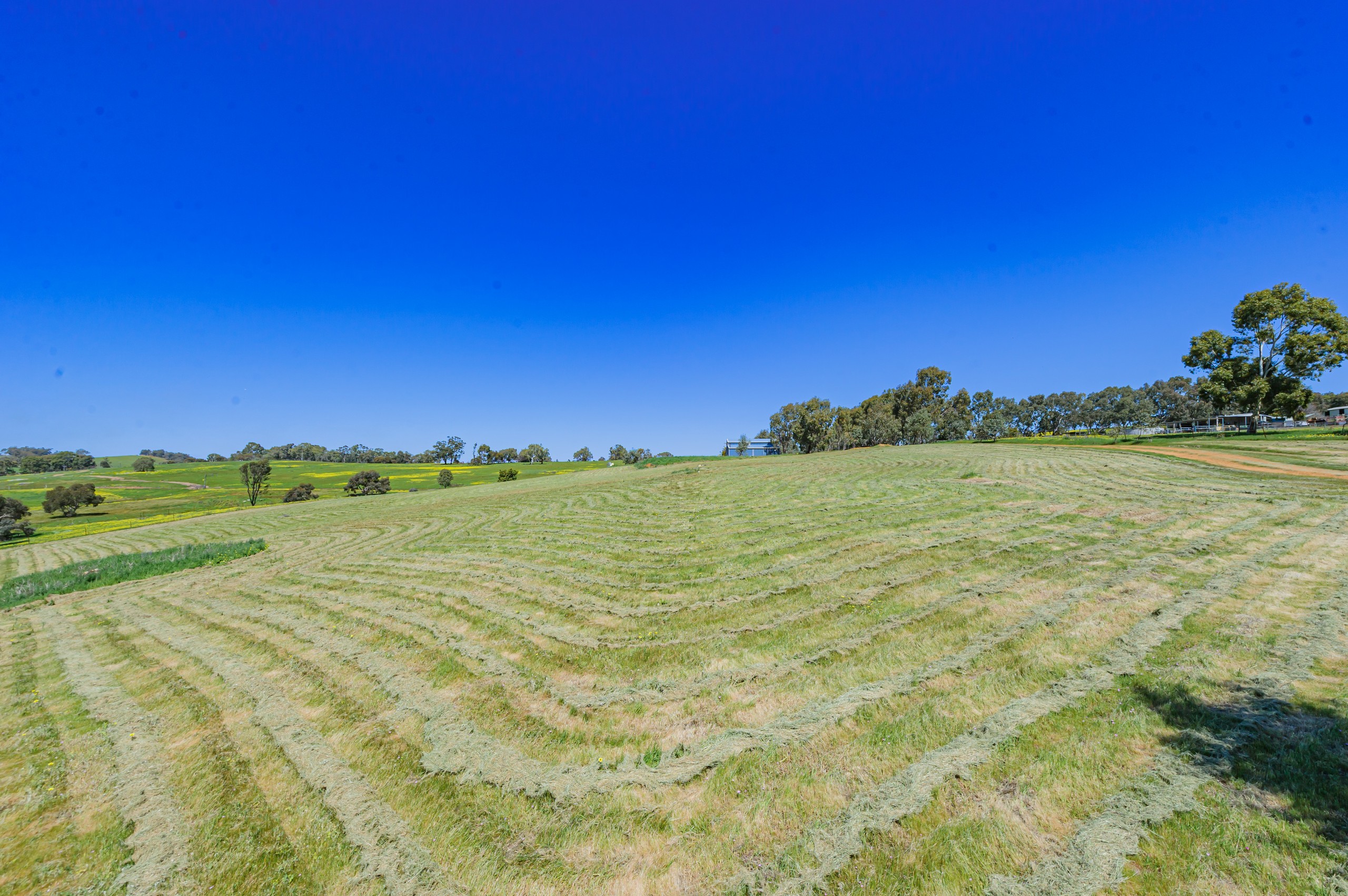 101 Alawoona Circle, Bullsbrook, WA 6084