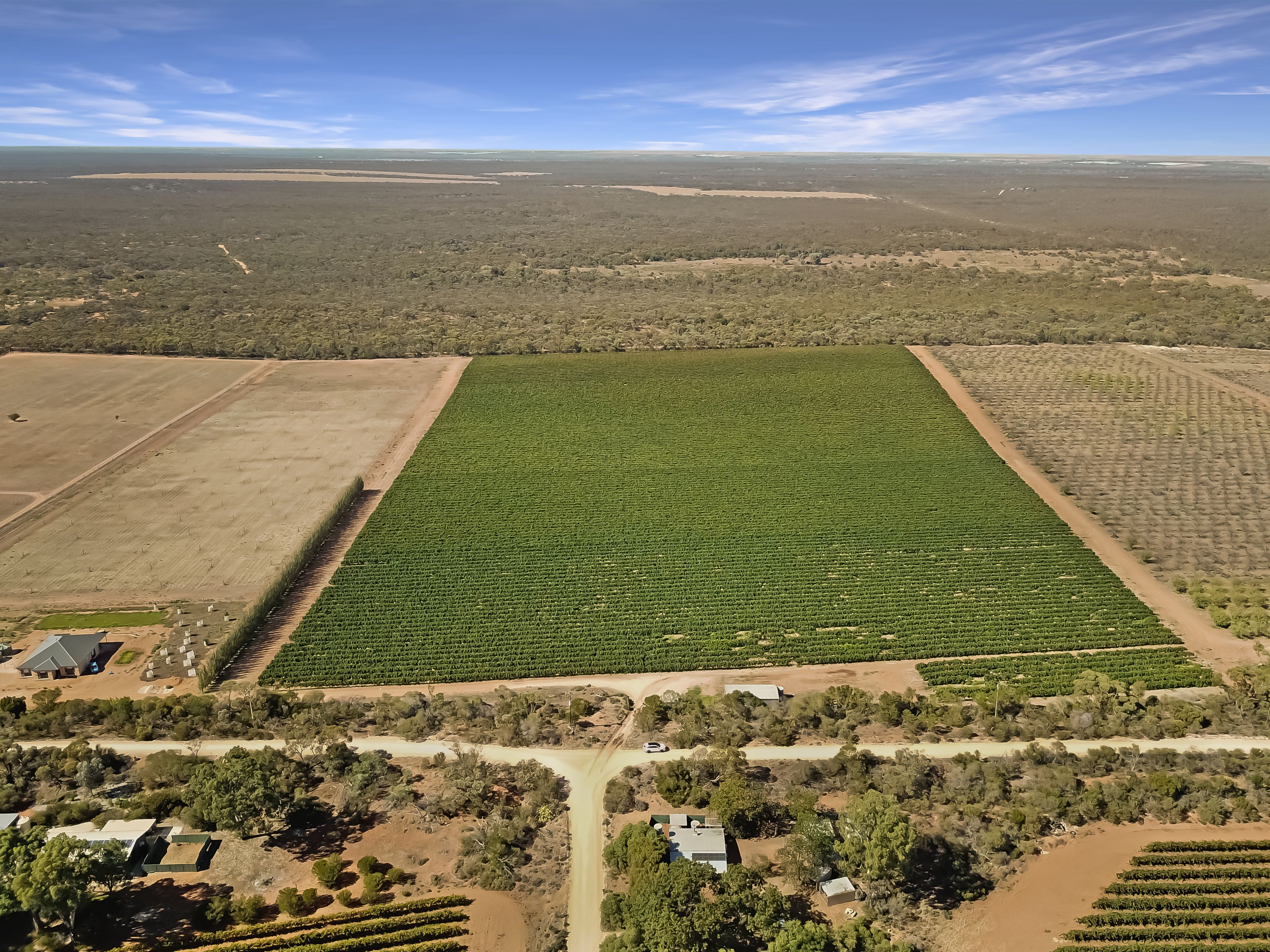 314 Costello Road, Loveday, SA 5345