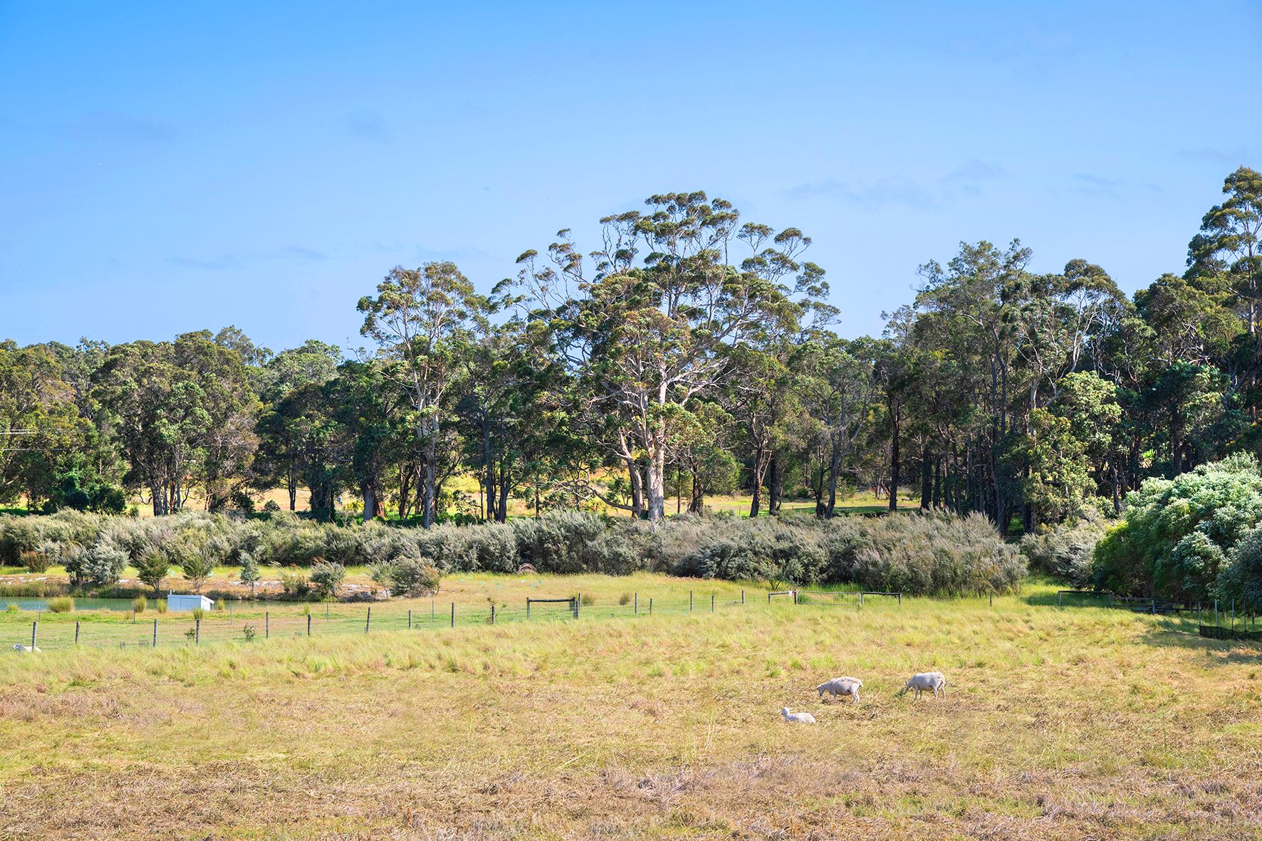 17 Gumtree Close, Cowaramup WA 6284