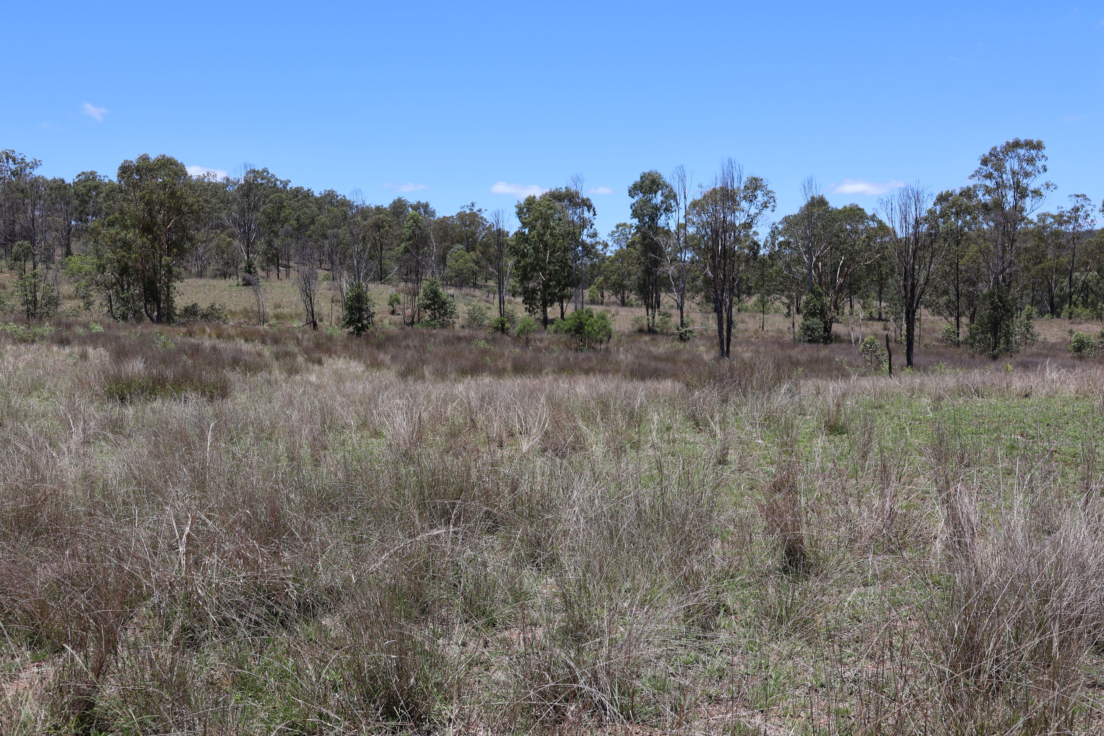 Lot 33, 34 & 35 Bilboolan Road, Mungy — photo 3 of 18