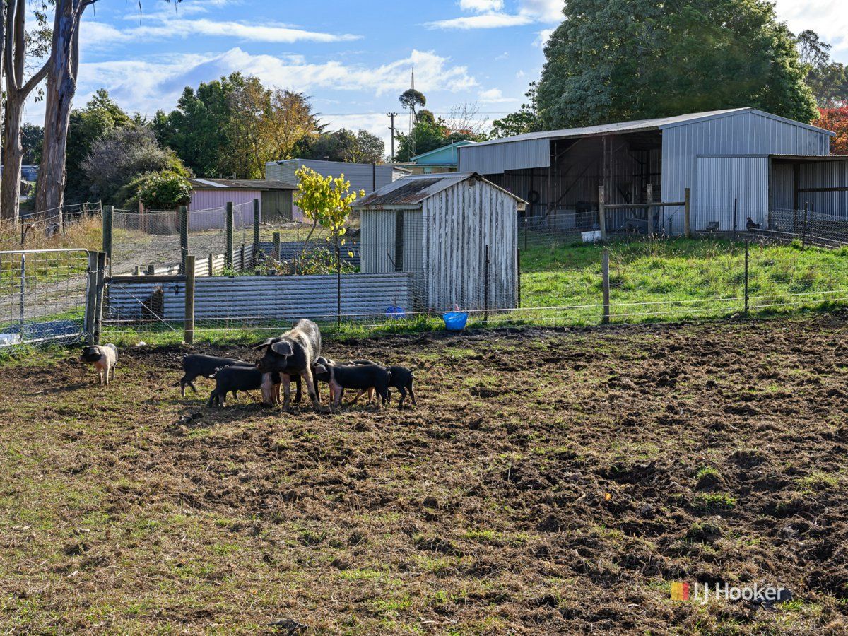 1091 Murchison Highway — photo 15 of 30