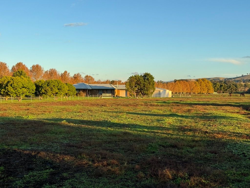 "Inglewood" 5985 New England Highway, Murrurundi, NSW 2338