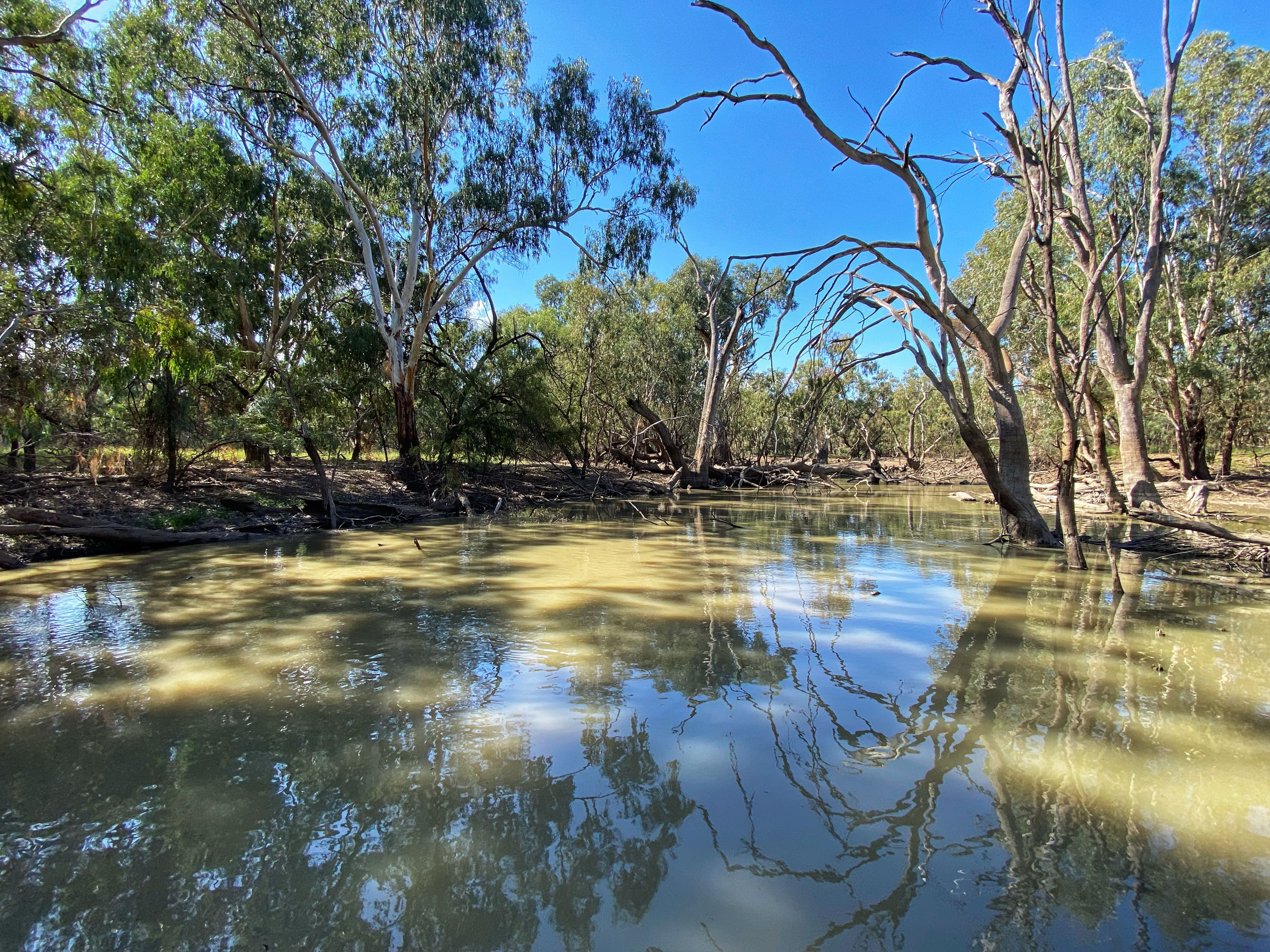 'Wallaroi West' 972 Wardry Bus Road, Condobolin, NSW 2877 Rural